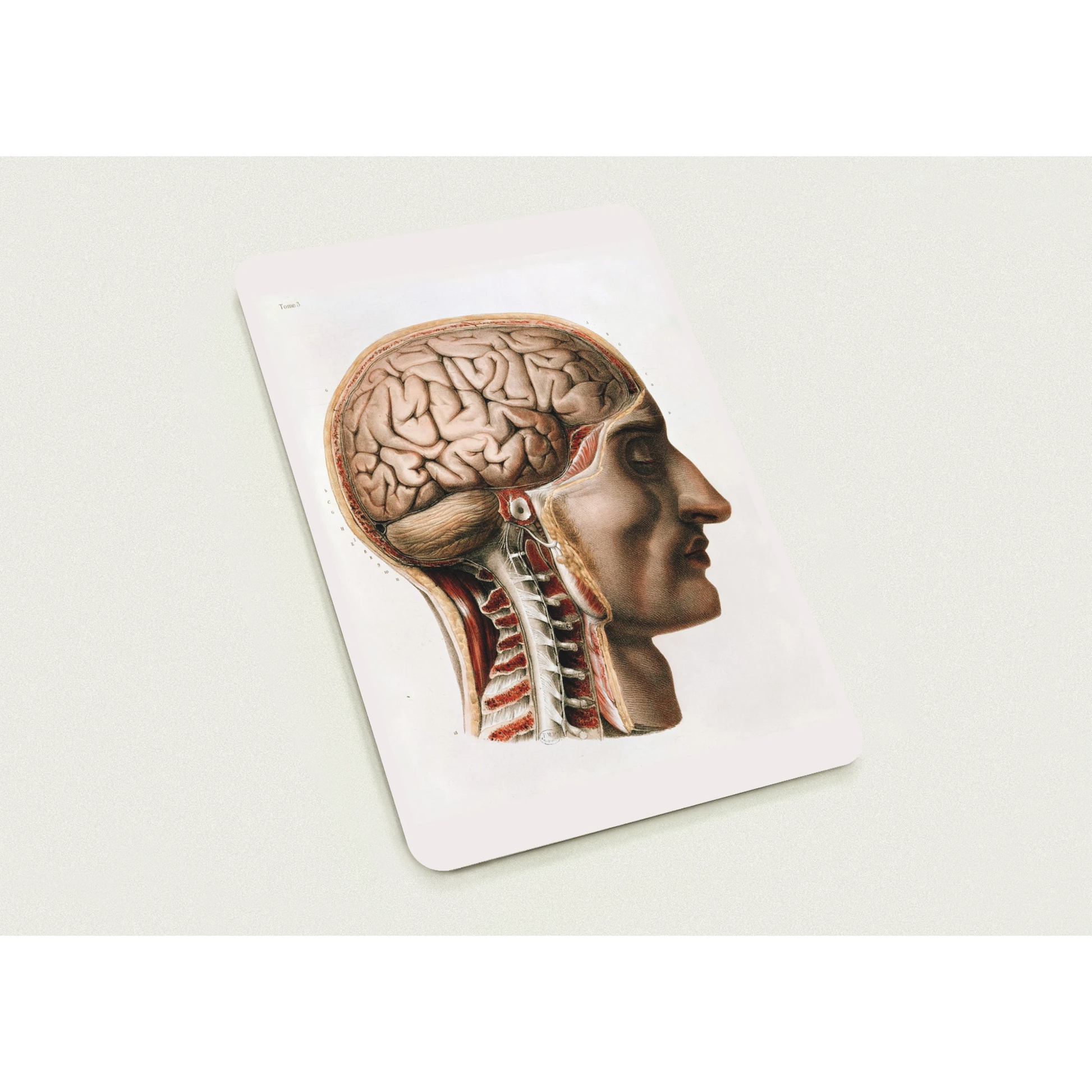 00812dc0-3812-437d-8eba-79b3536be8c9