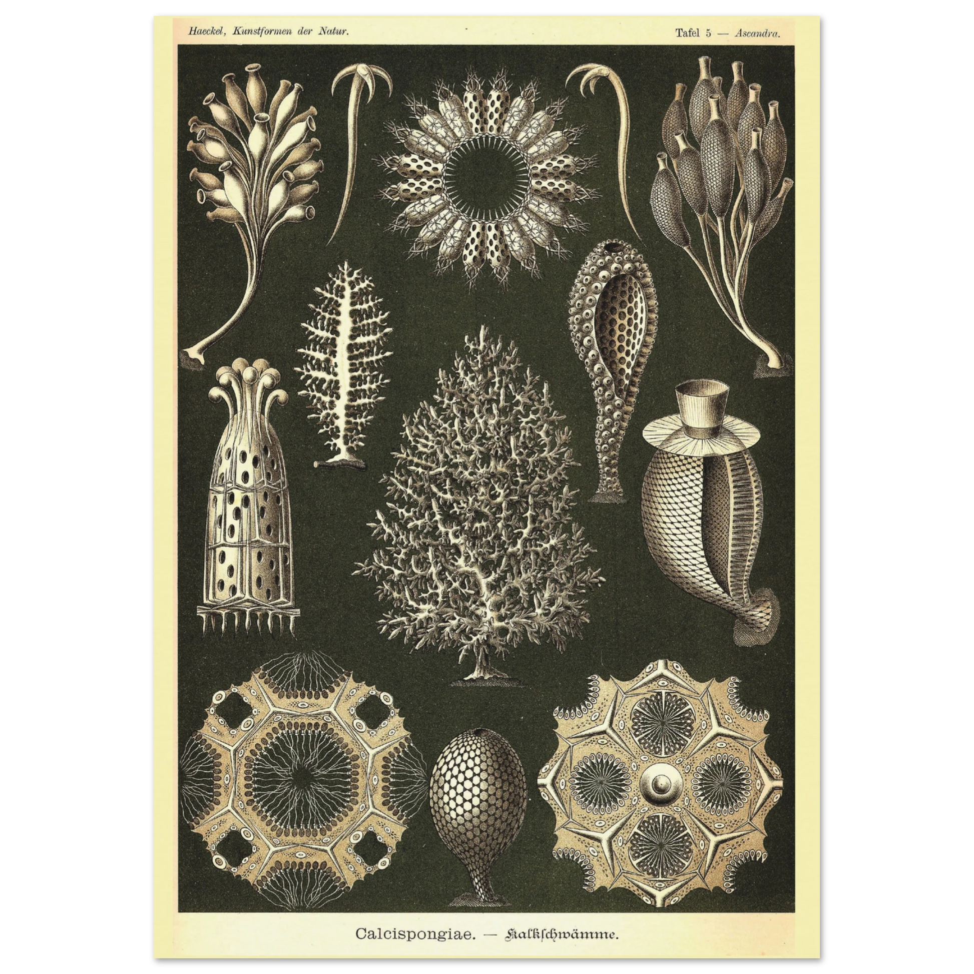 00d8a942-6f88-4cce-bab4-c6545afc6f98