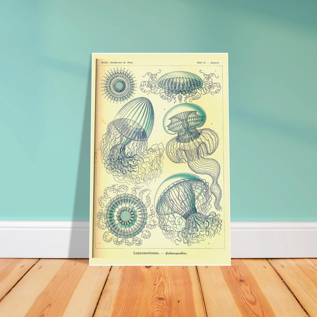 02effbaf-9964-461a-971d-0f16cee07ed2