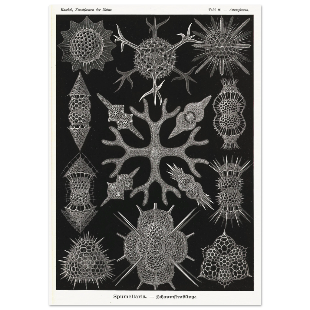 03eef606-a623-4e05-8742-bd04b42ed3cc