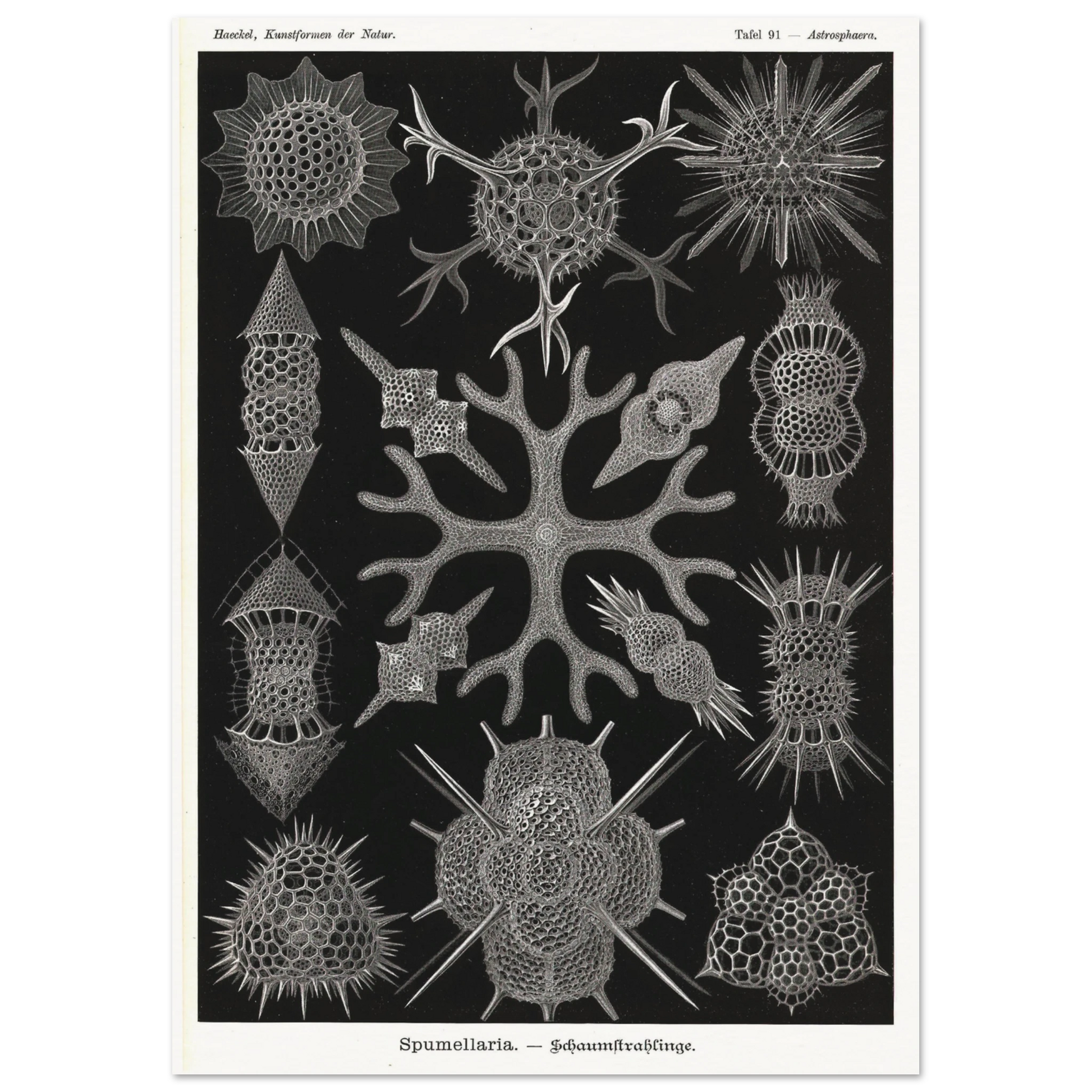 03eef606-a623-4e05-8742-bd04b42ed3cc