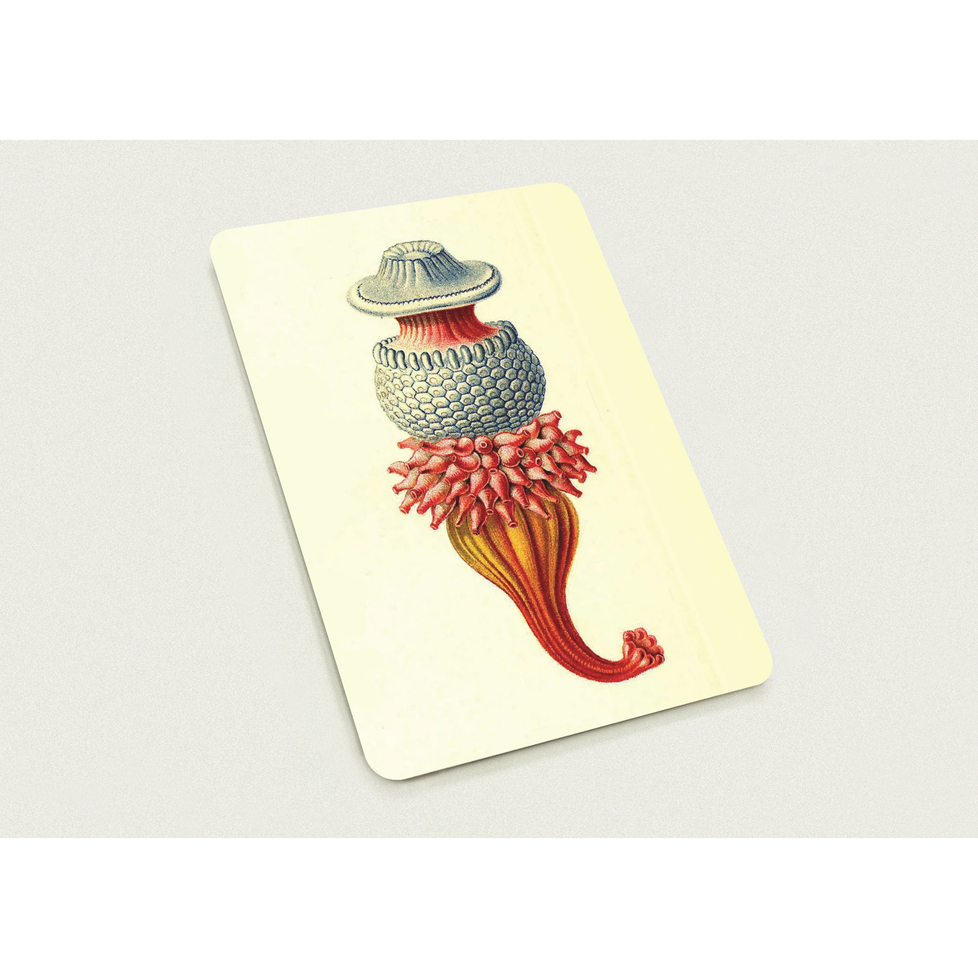 05642d64-8c91-436c-b8e6-7734076fb4ae