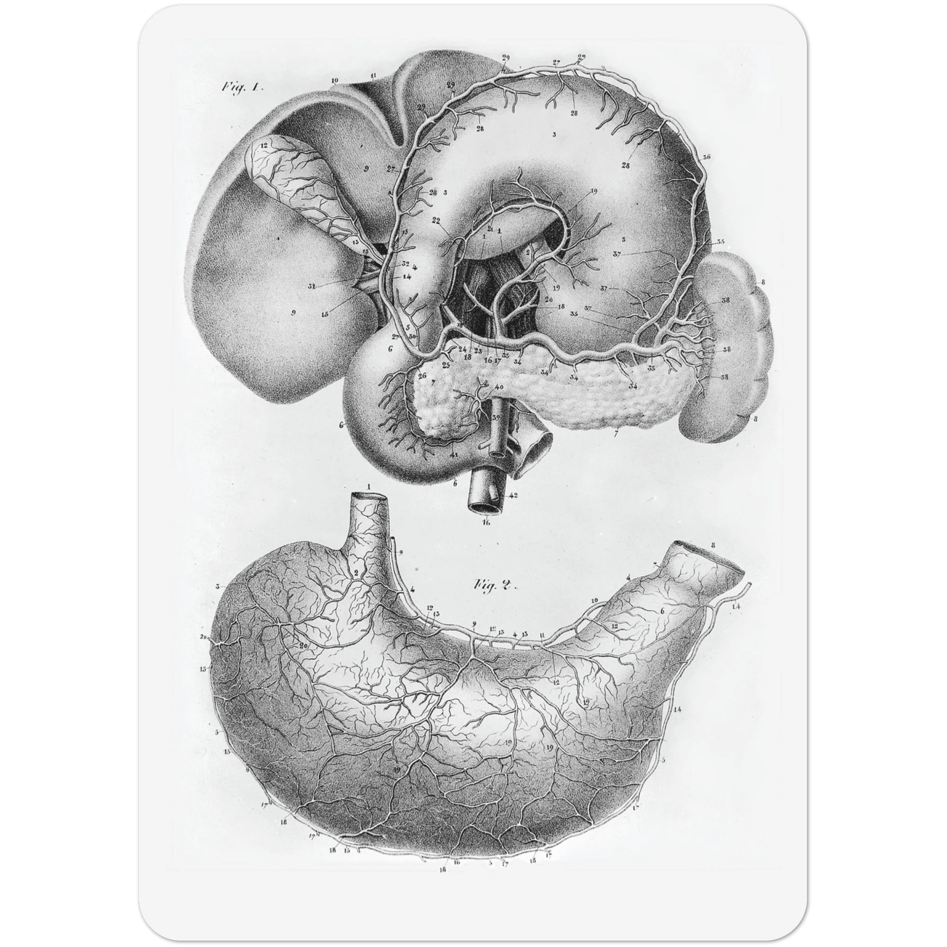 057c7ce1-df78-4394-8cfe-8e4c6cff57dc