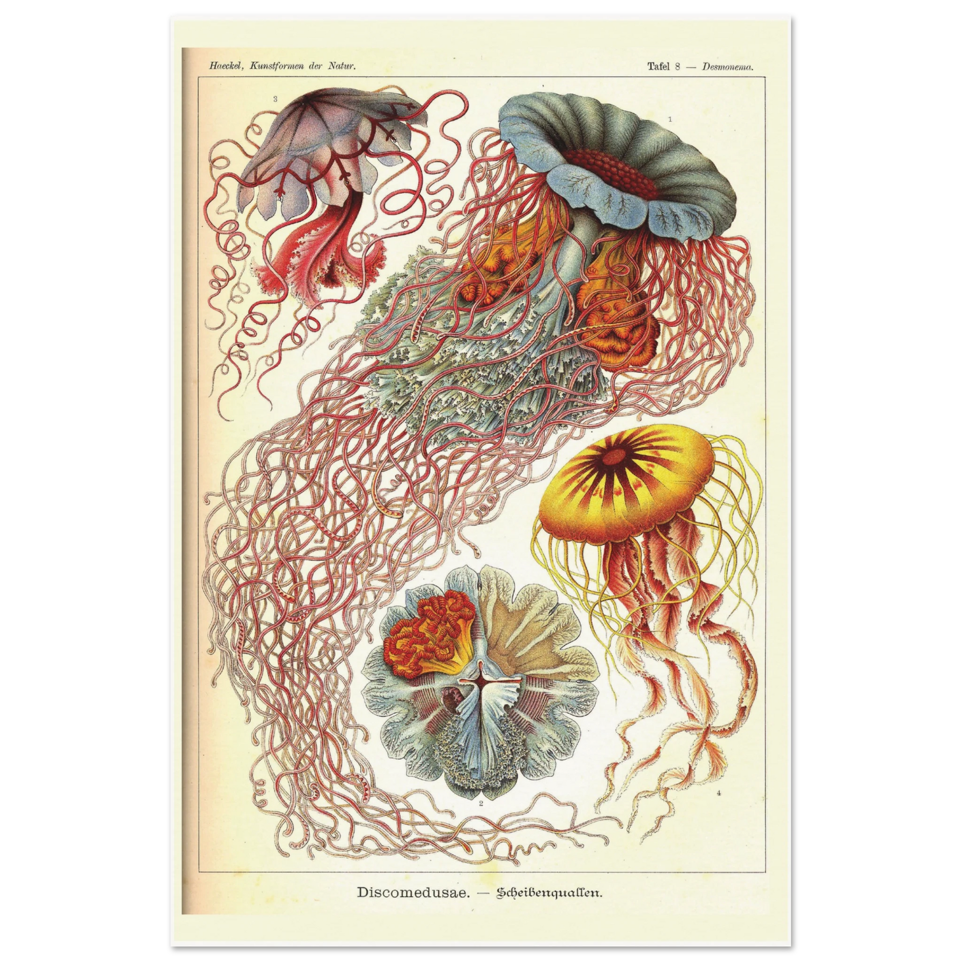 06da099c-48de-4f52-9943-2cbc397ee953