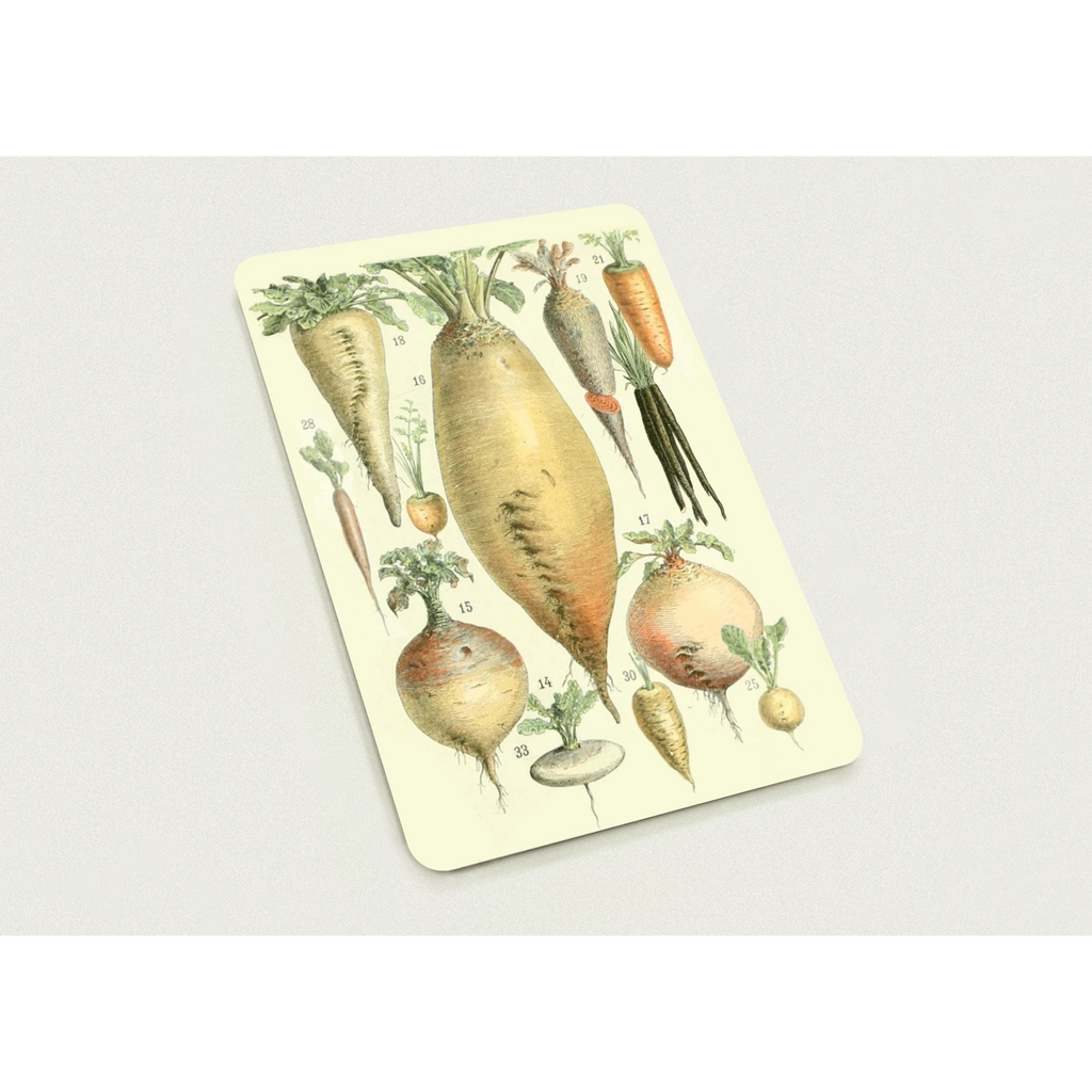 06e2d8ff-8046-49f1-8c6e-8a3f3b1bd5d8