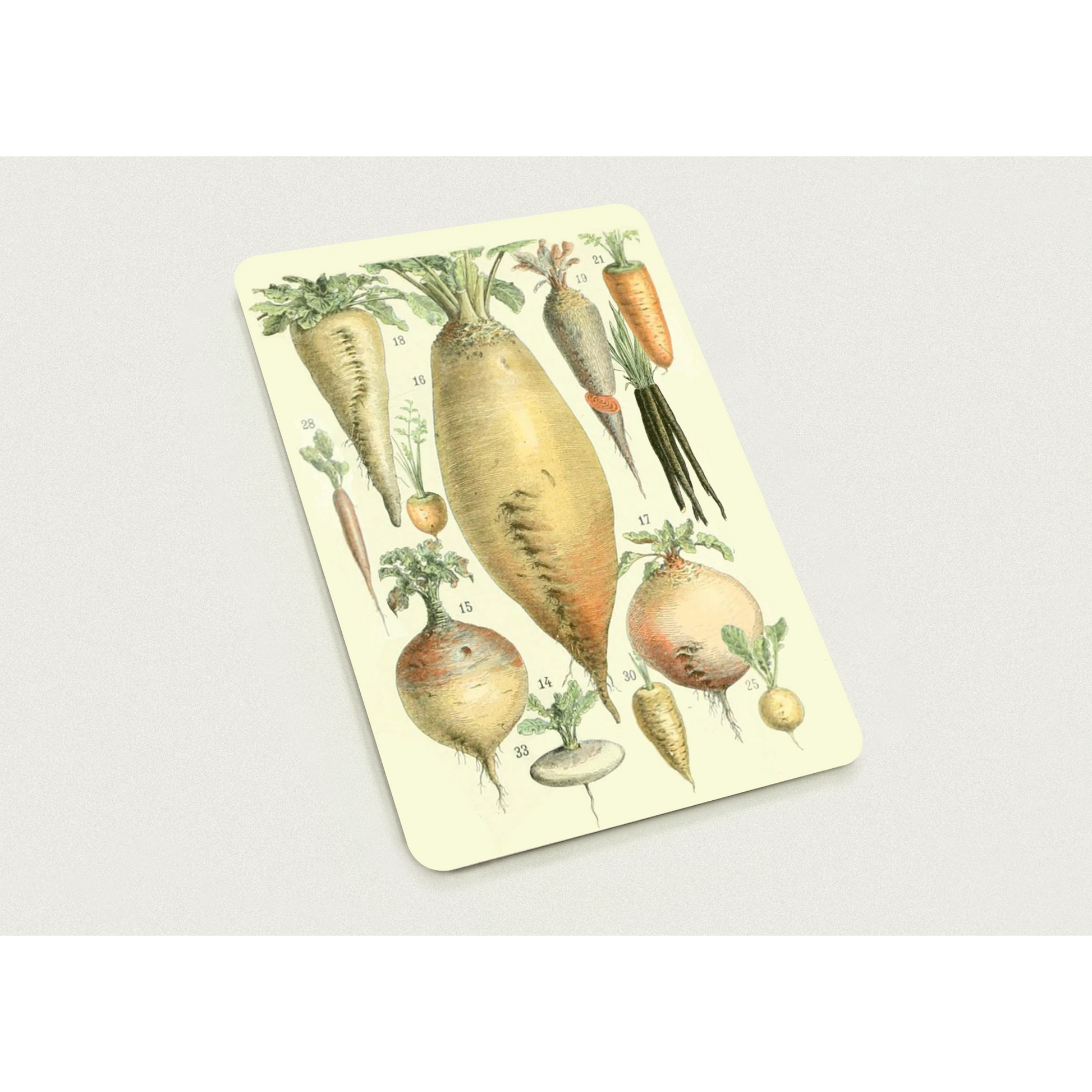 06e2d8ff-8046-49f1-8c6e-8a3f3b1bd5d8