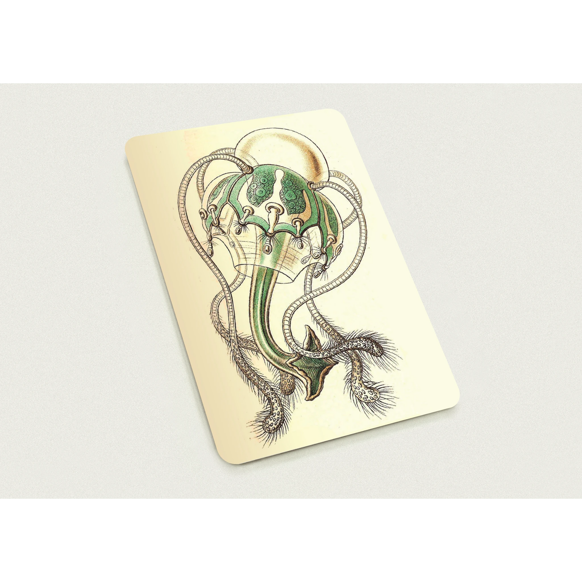 090b1050-42a2-4ada-8197-fbca32936f04