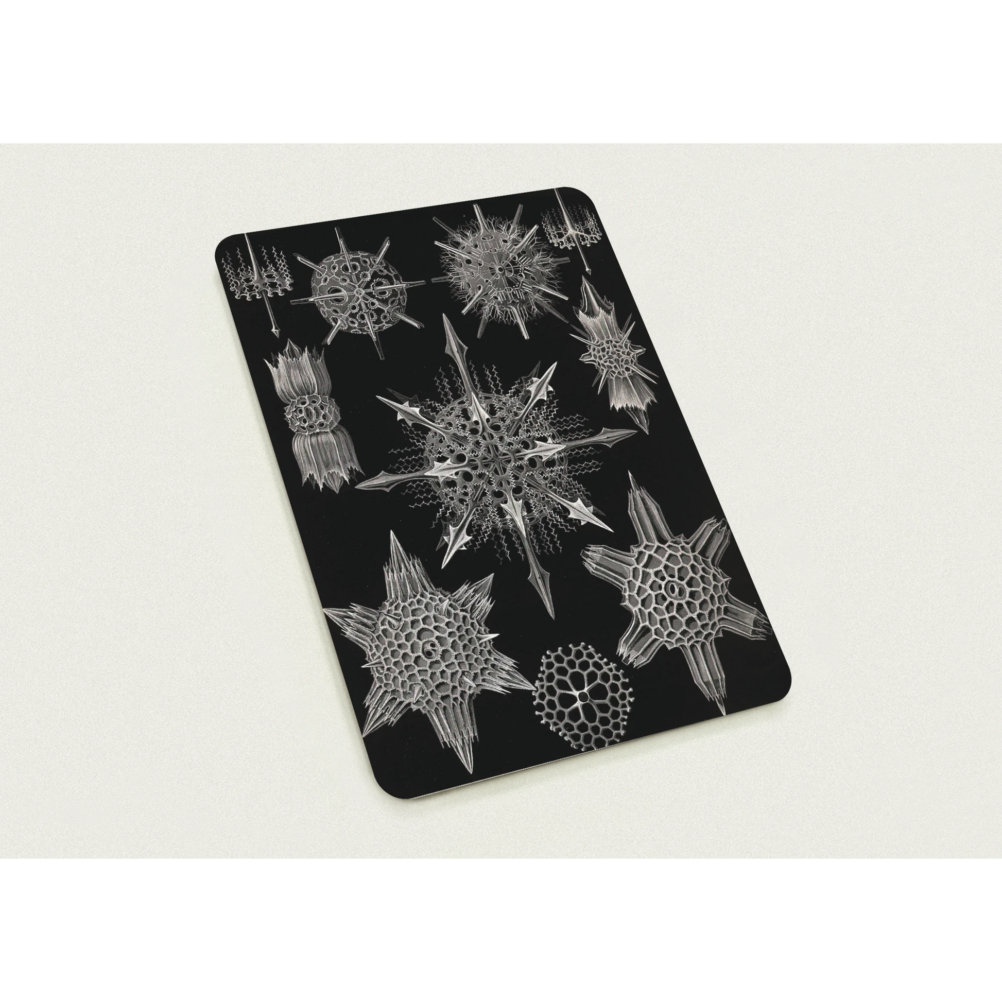 0960360b-c518-433e-b289-181150f679d9