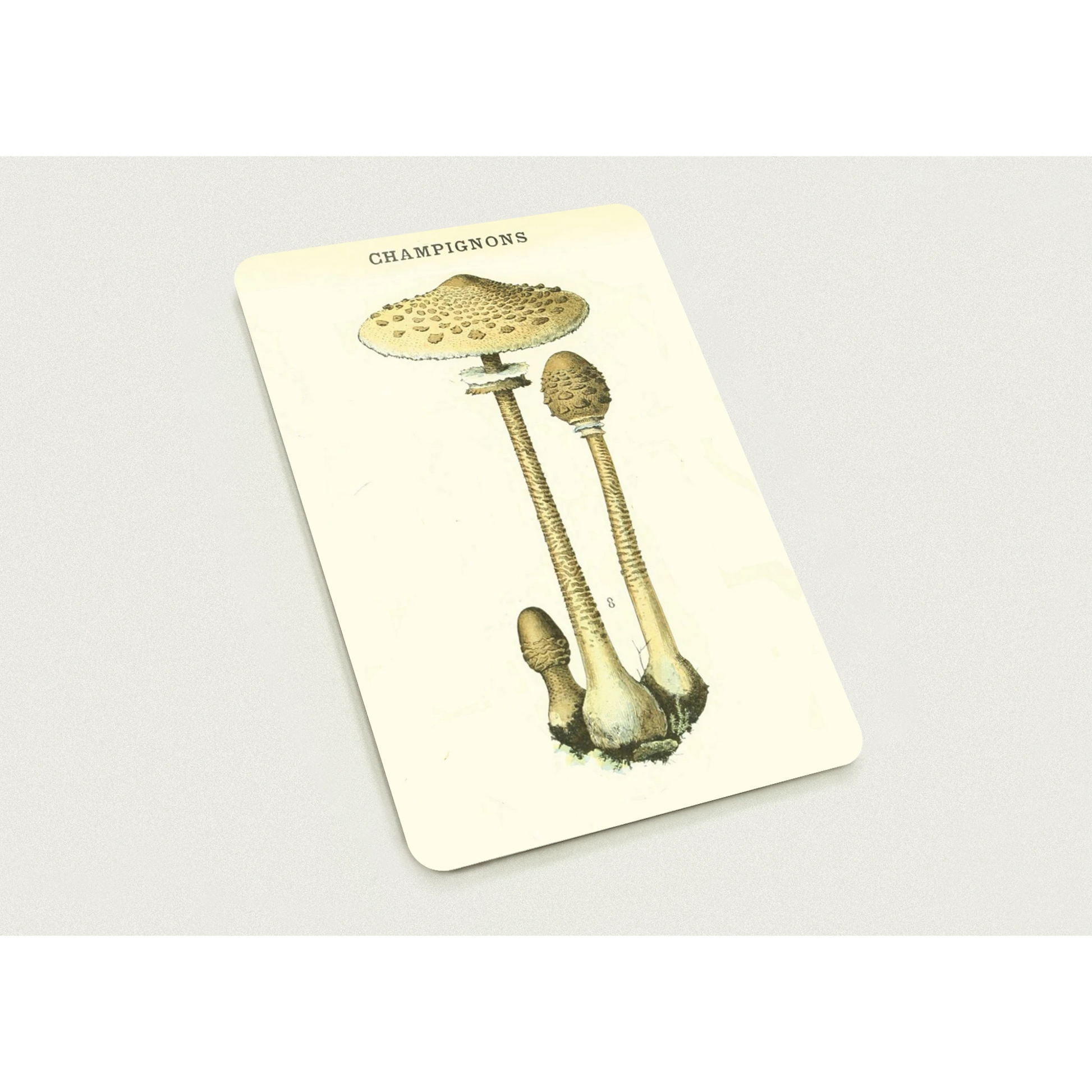 0e3f1c6e-2785-4a4c-a68c-70065df92c58