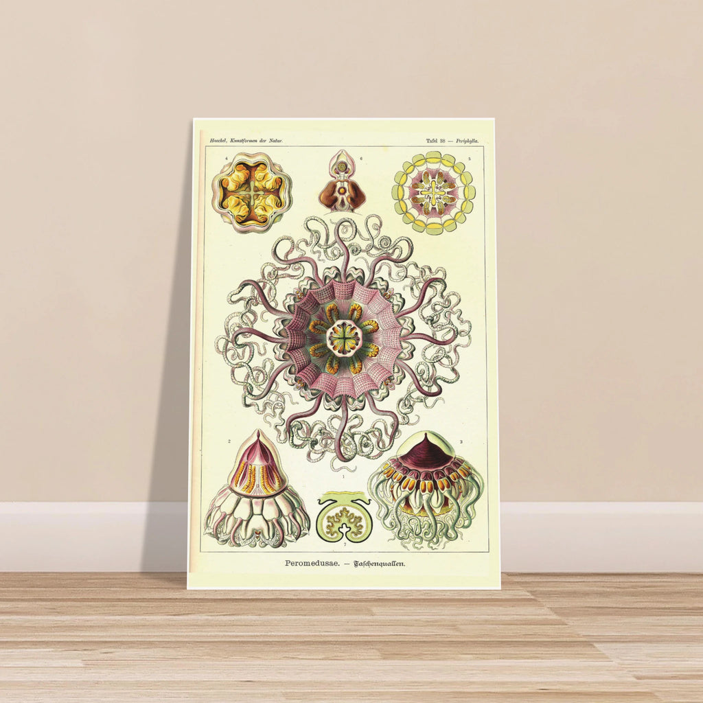 0e43071e-820a-4826-95c0-95ea598e78f9