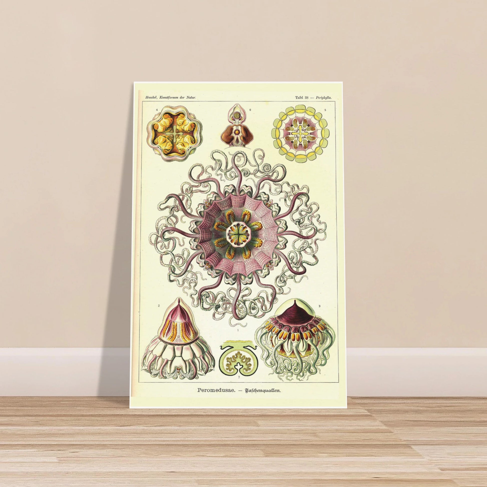 0e43071e-820a-4826-95c0-95ea598e78f9