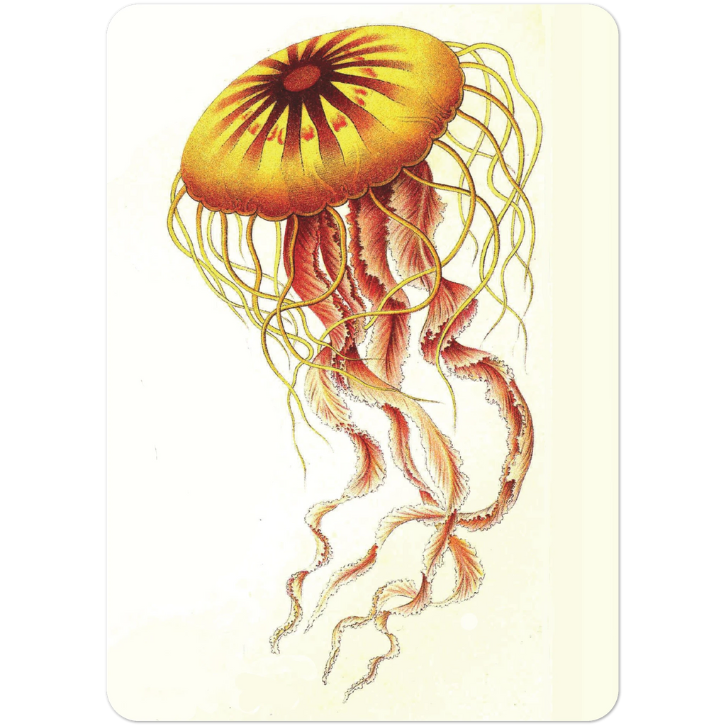 0fa1b797-3598-4cb9-abf9-404698b9c764