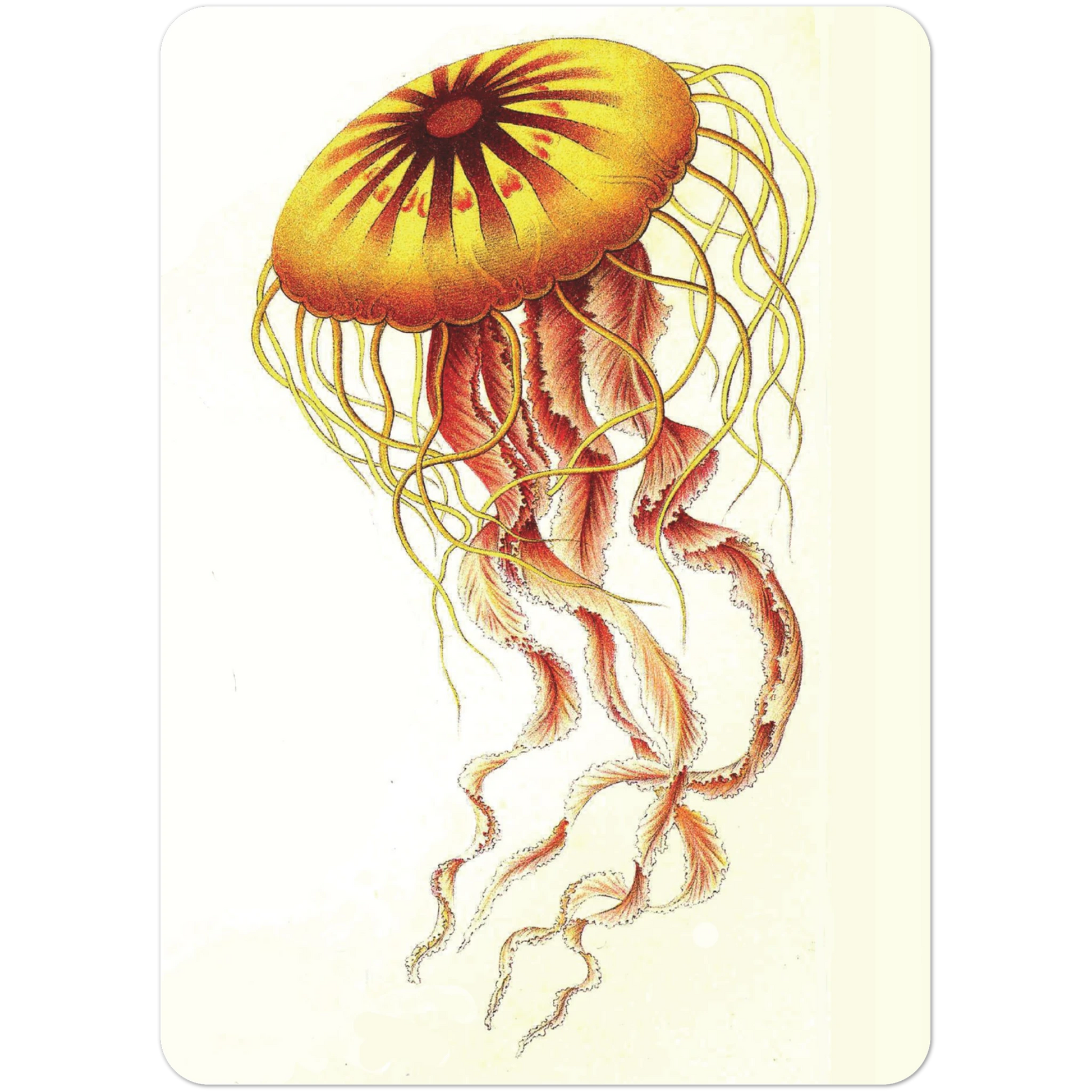 0fa1b797-3598-4cb9-abf9-404698b9c764