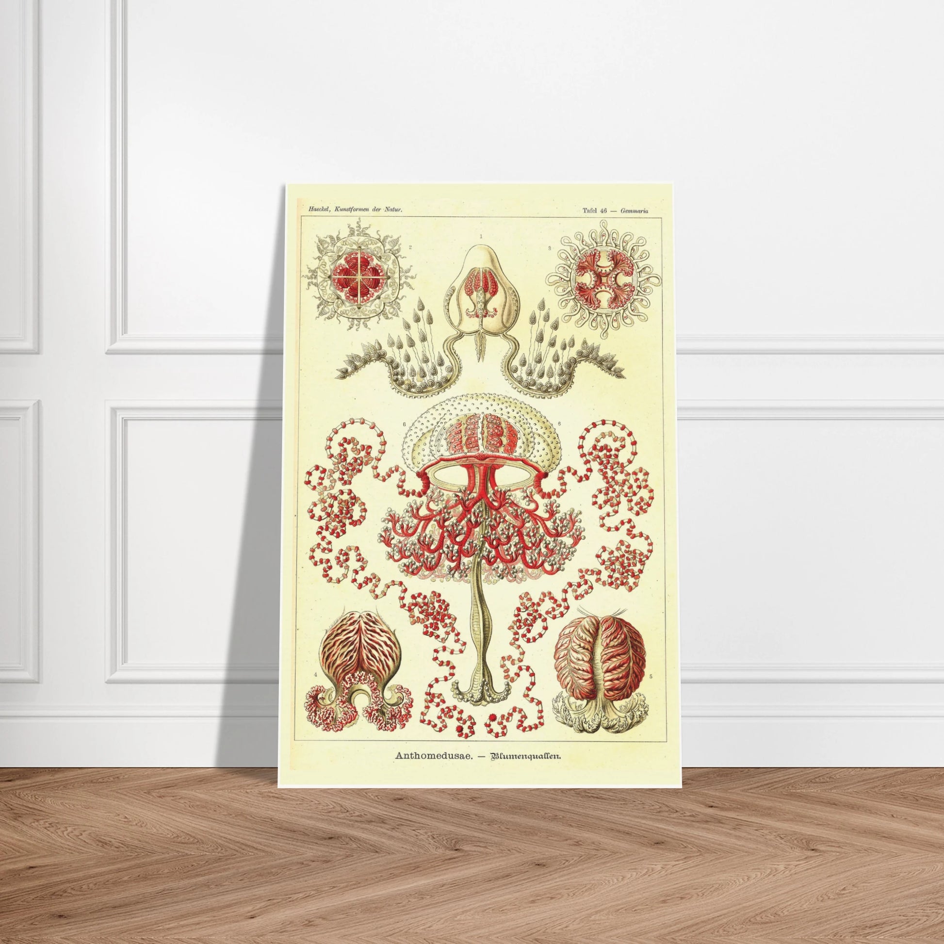 0fb6c57e-22c6-4d80-b35f-4a816d715afa