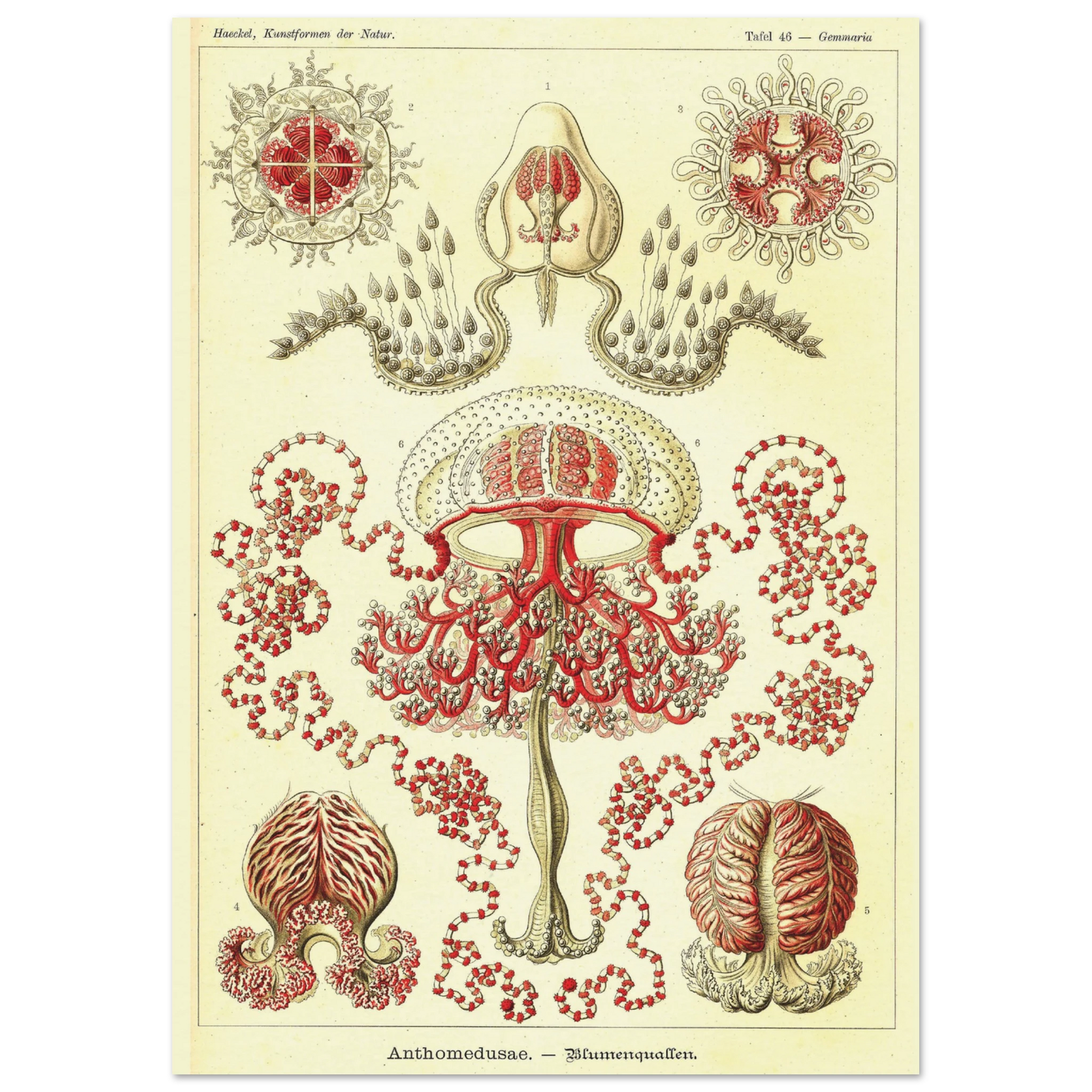 102a7958-85db-407b-9d55-607e5251706b