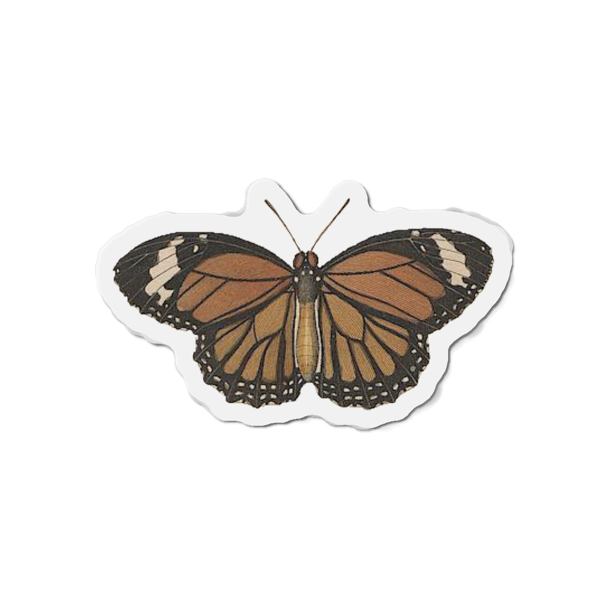 Monarch Butterfly magnet (1843)