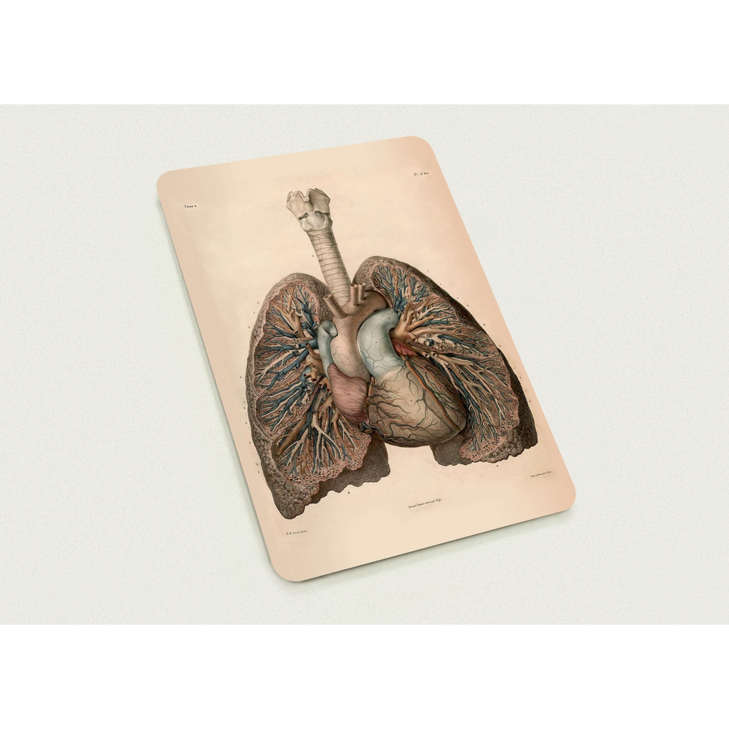 11f4b556-a05d-48cd-a193-d71d35fd8f0f