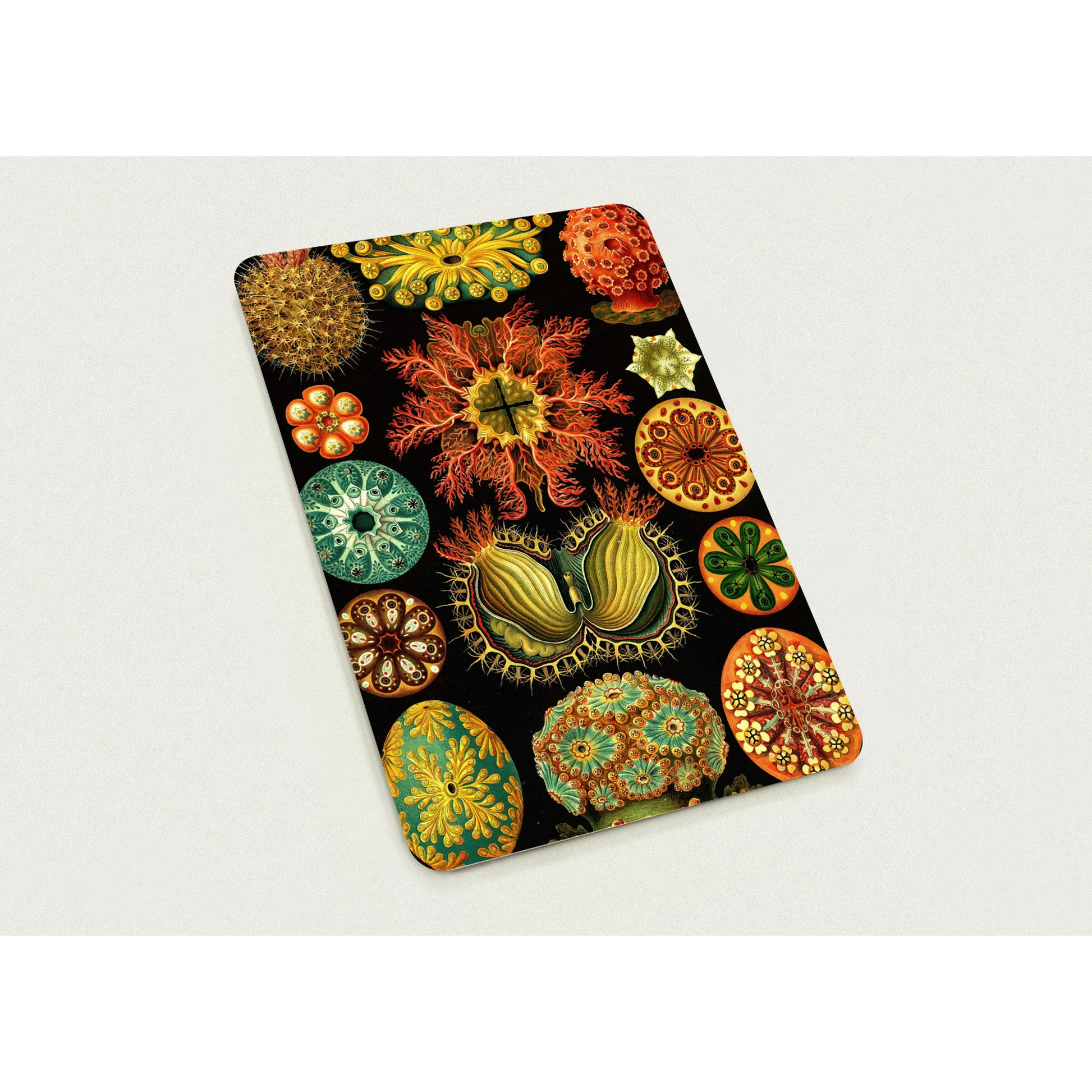 12af5ced-0e1b-403a-9abc-aed0474052a4