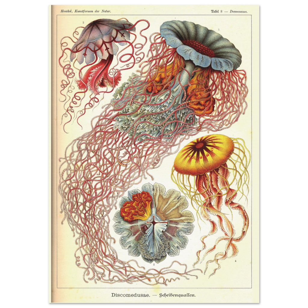 148ada09-0934-4b7a-9502-c18bf03a2349