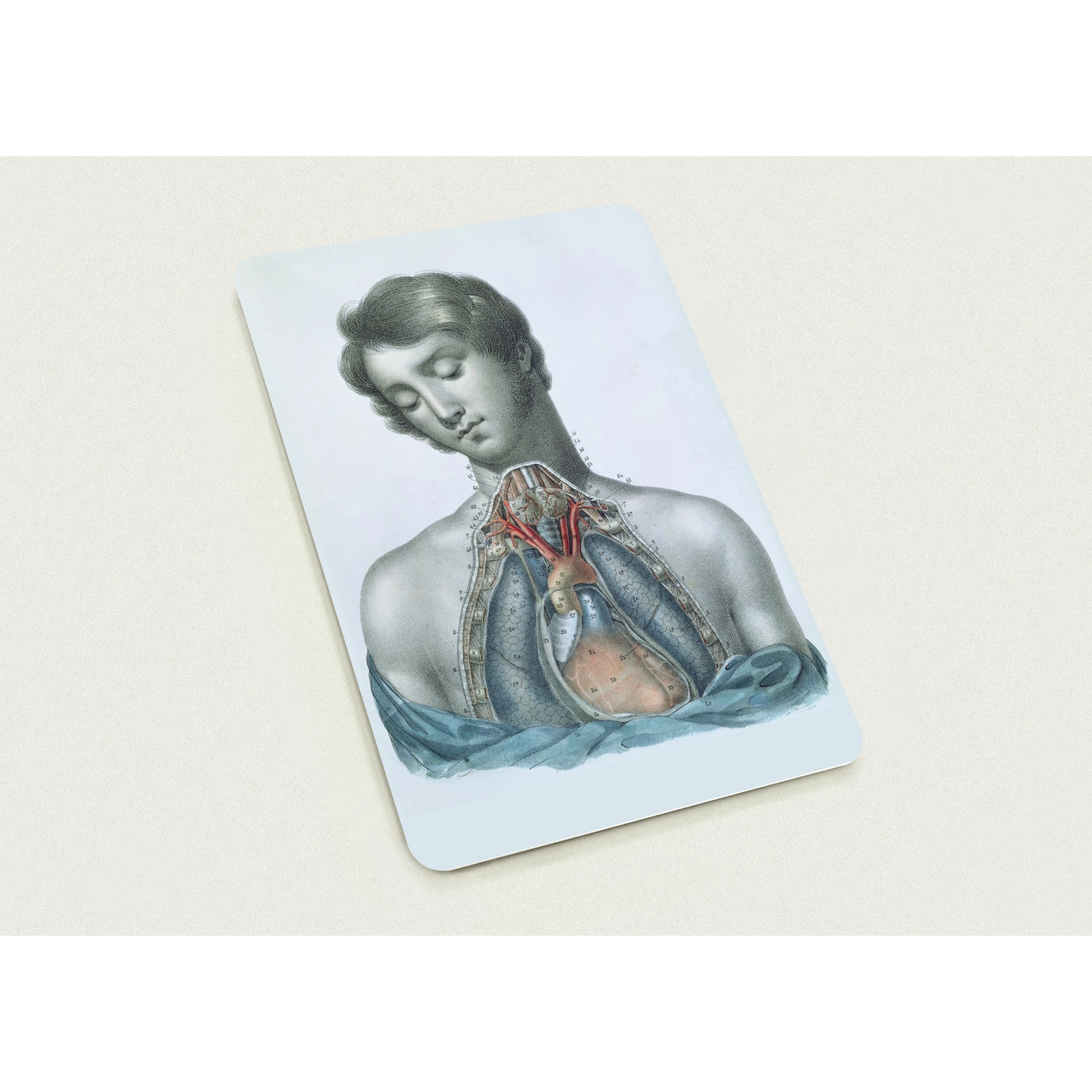 15d7bdd1-fae4-426e-bf38-03302cb61f9d