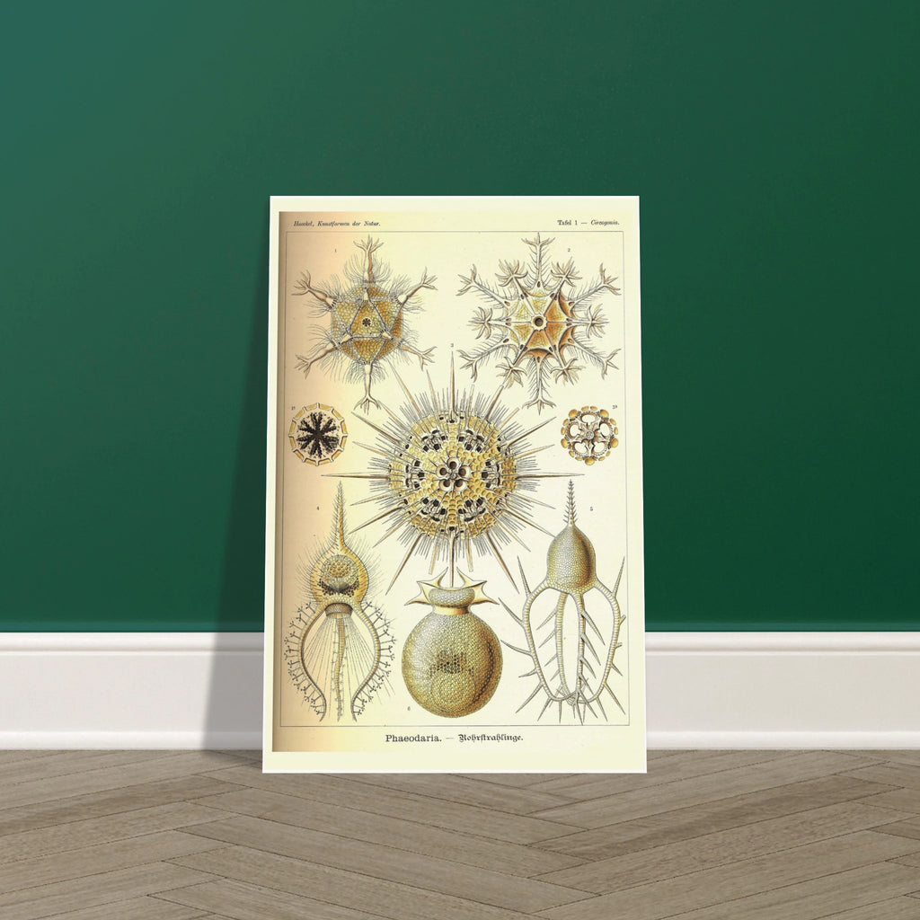 16468d6f-85ea-4fb8-9396-2f54f69e407c