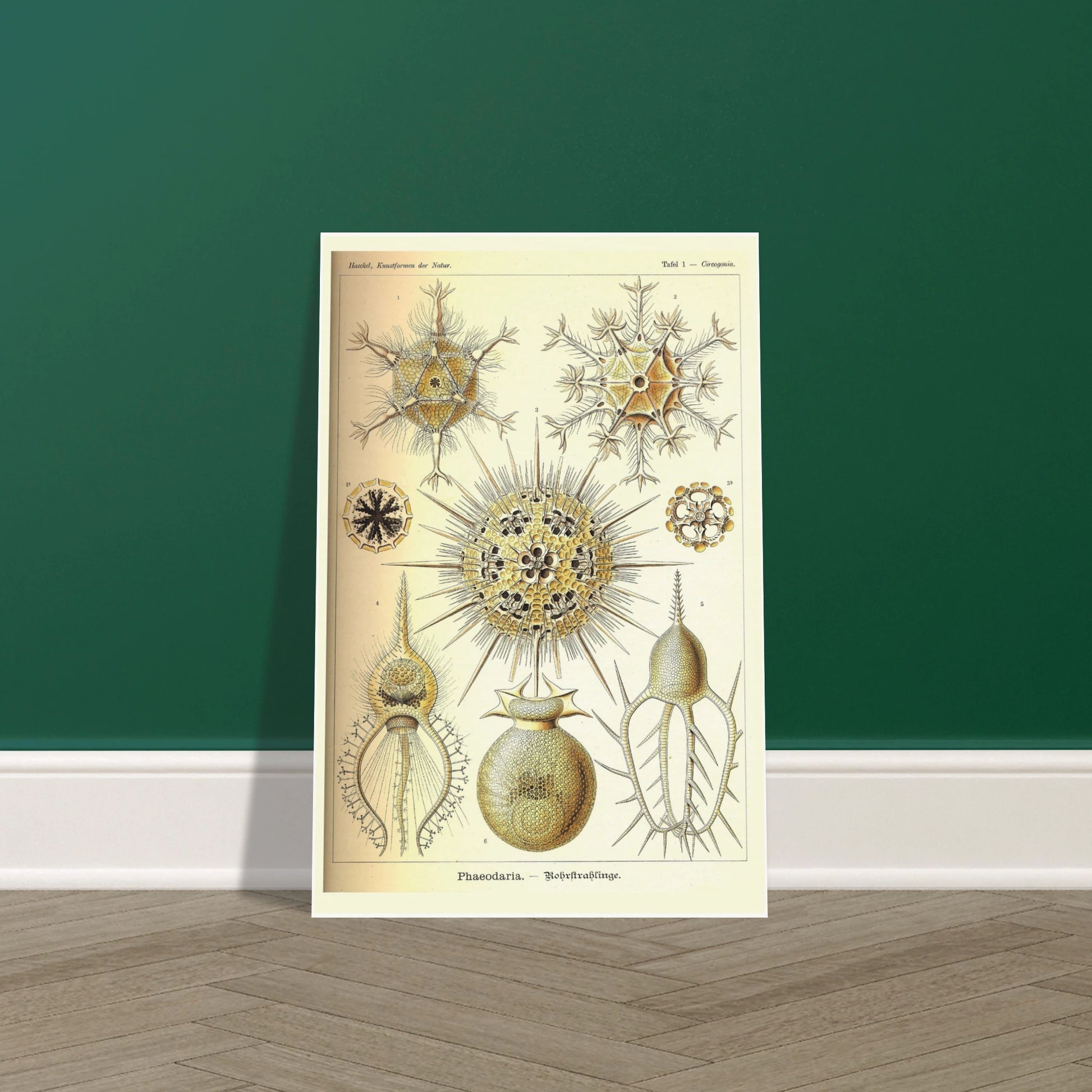 16468d6f-85ea-4fb8-9396-2f54f69e407c