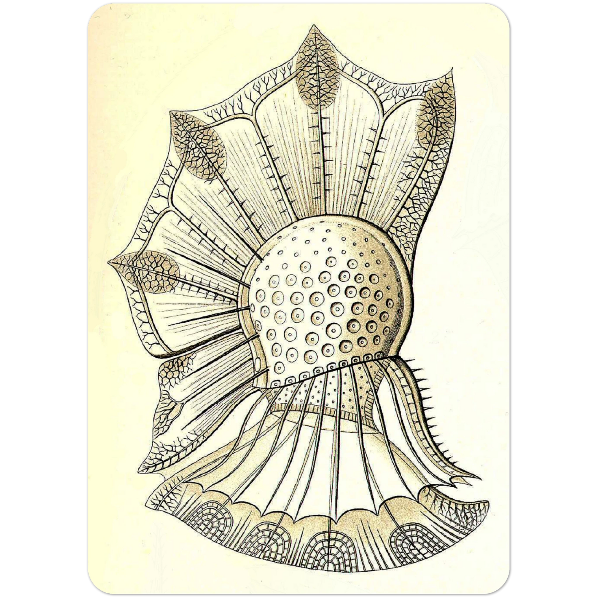 16b98b7c-d7a2-483f-9c8f-a9449076c1bb