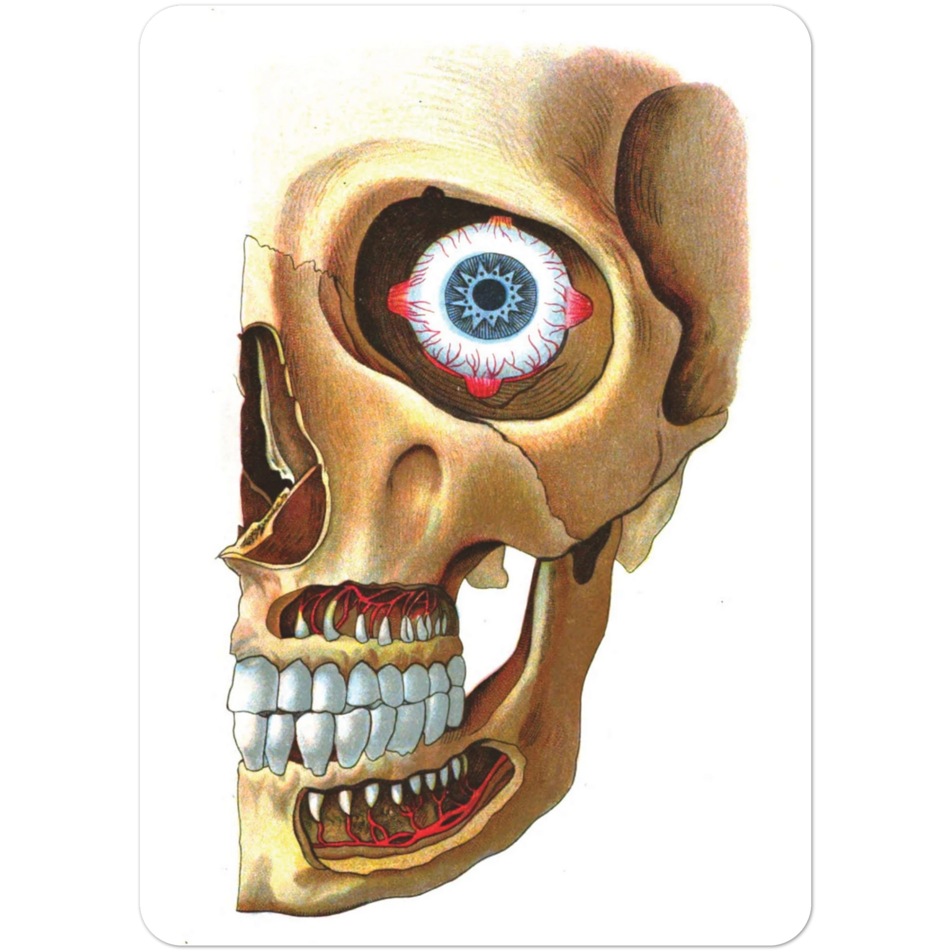 1963f1c7-52a4-4eee-b8a8-7b6a8f34aafc