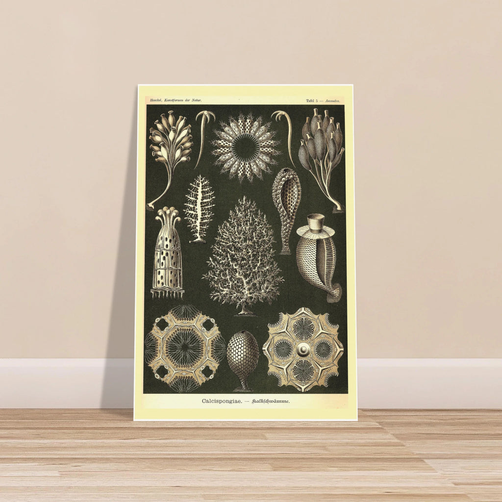 19df54e5-4414-4040-b5d2-150d053032a4