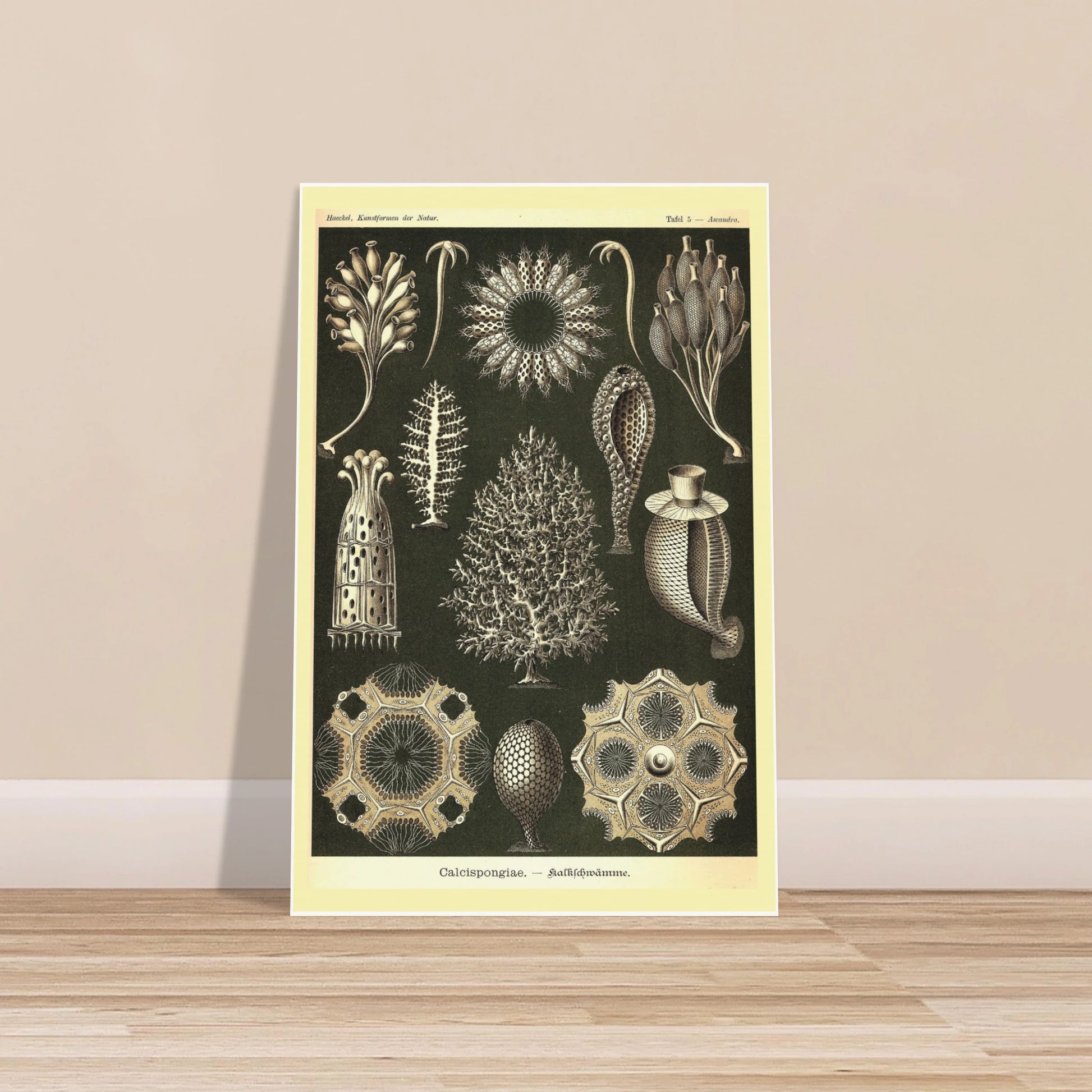 19df54e5-4414-4040-b5d2-150d053032a4