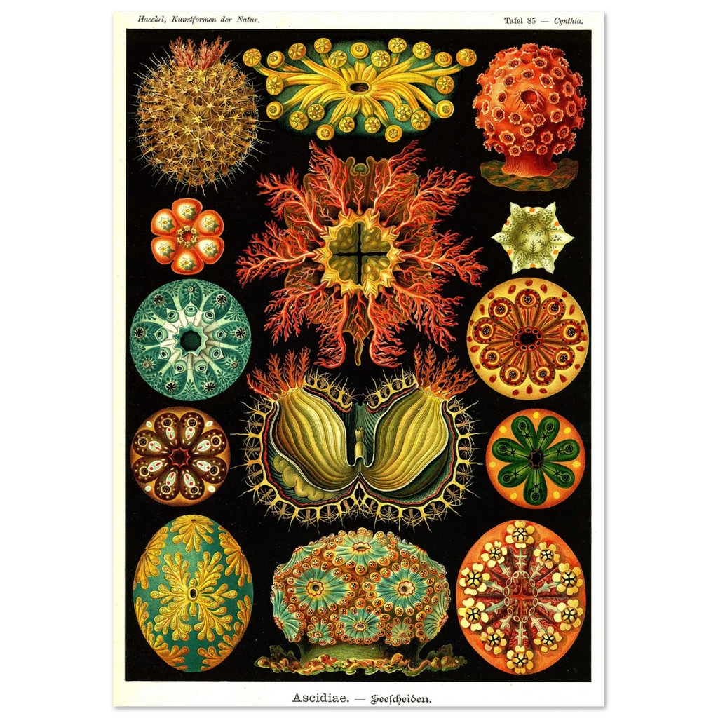 1b1f228d-c06c-48d9-9582-52b1199bd6d5