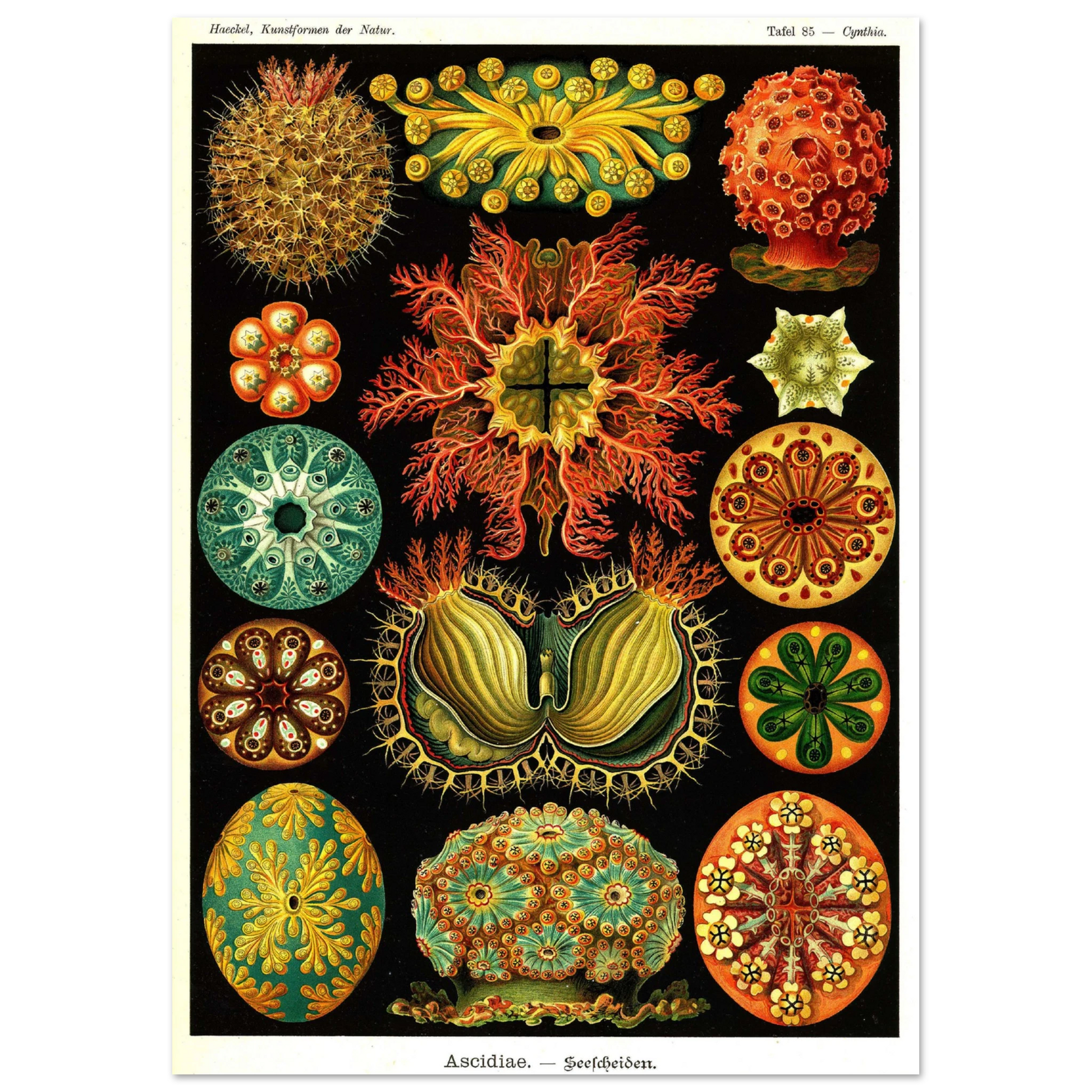 1b1f228d-c06c-48d9-9582-52b1199bd6d5