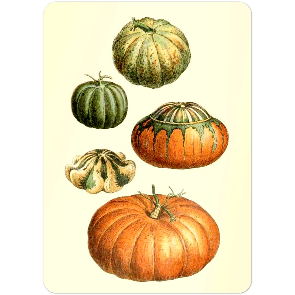 1b46ba3a-1a27-4eab-aff7-7412a1921a76