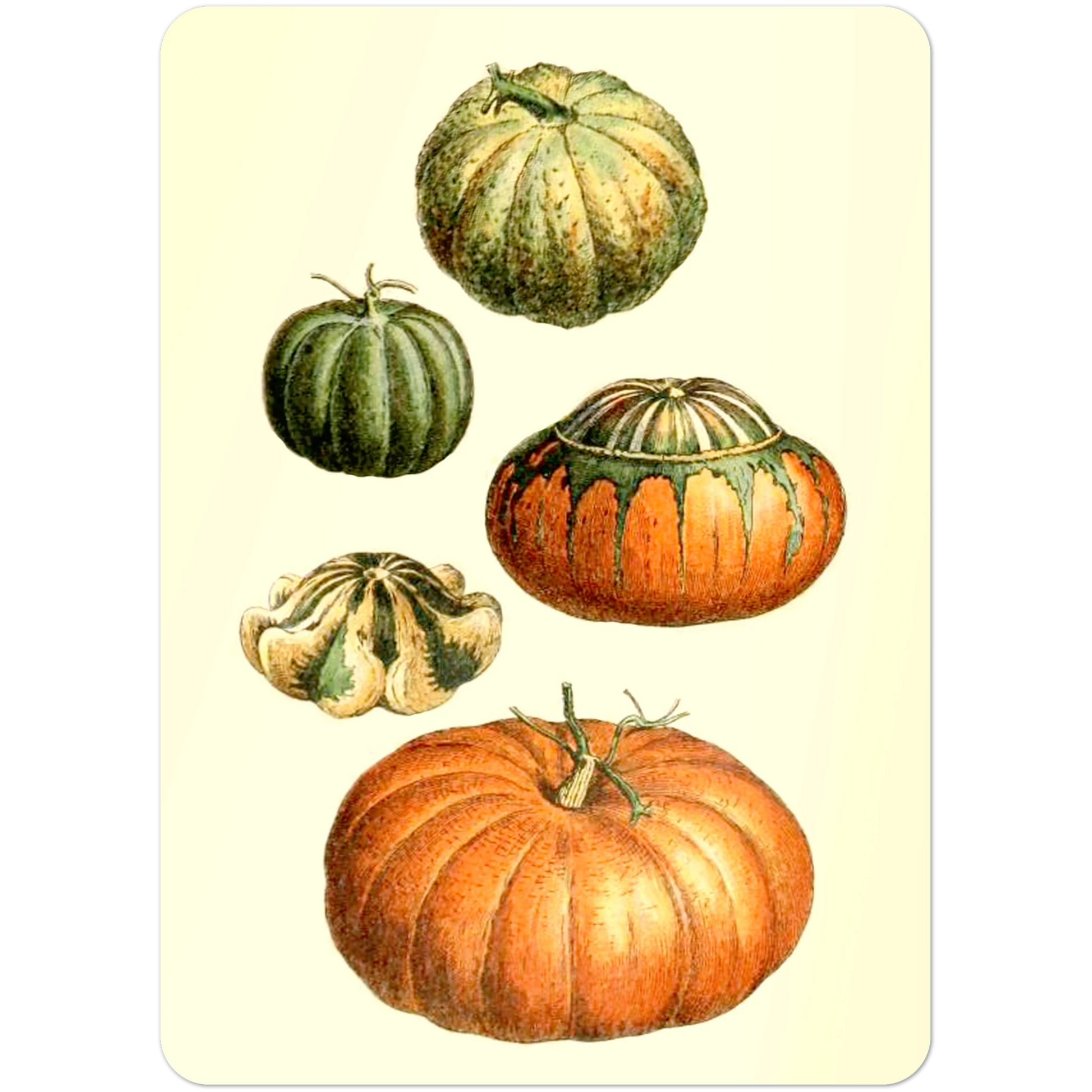 1b46ba3a-1a27-4eab-aff7-7412a1921a76