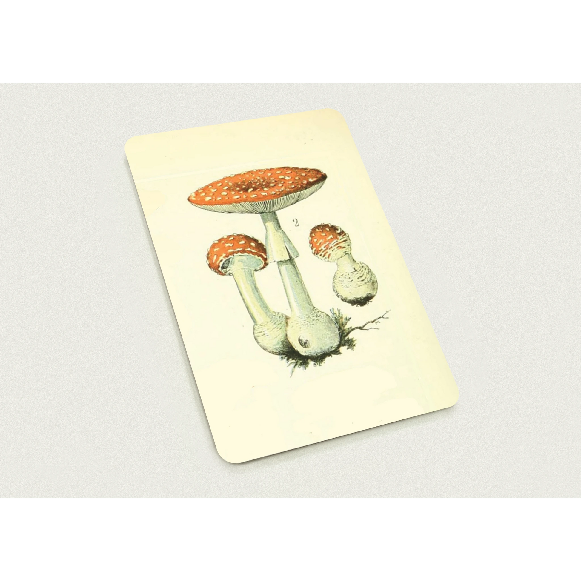 1b5b2121-d09c-4c1f-a78c-2bf62184de30