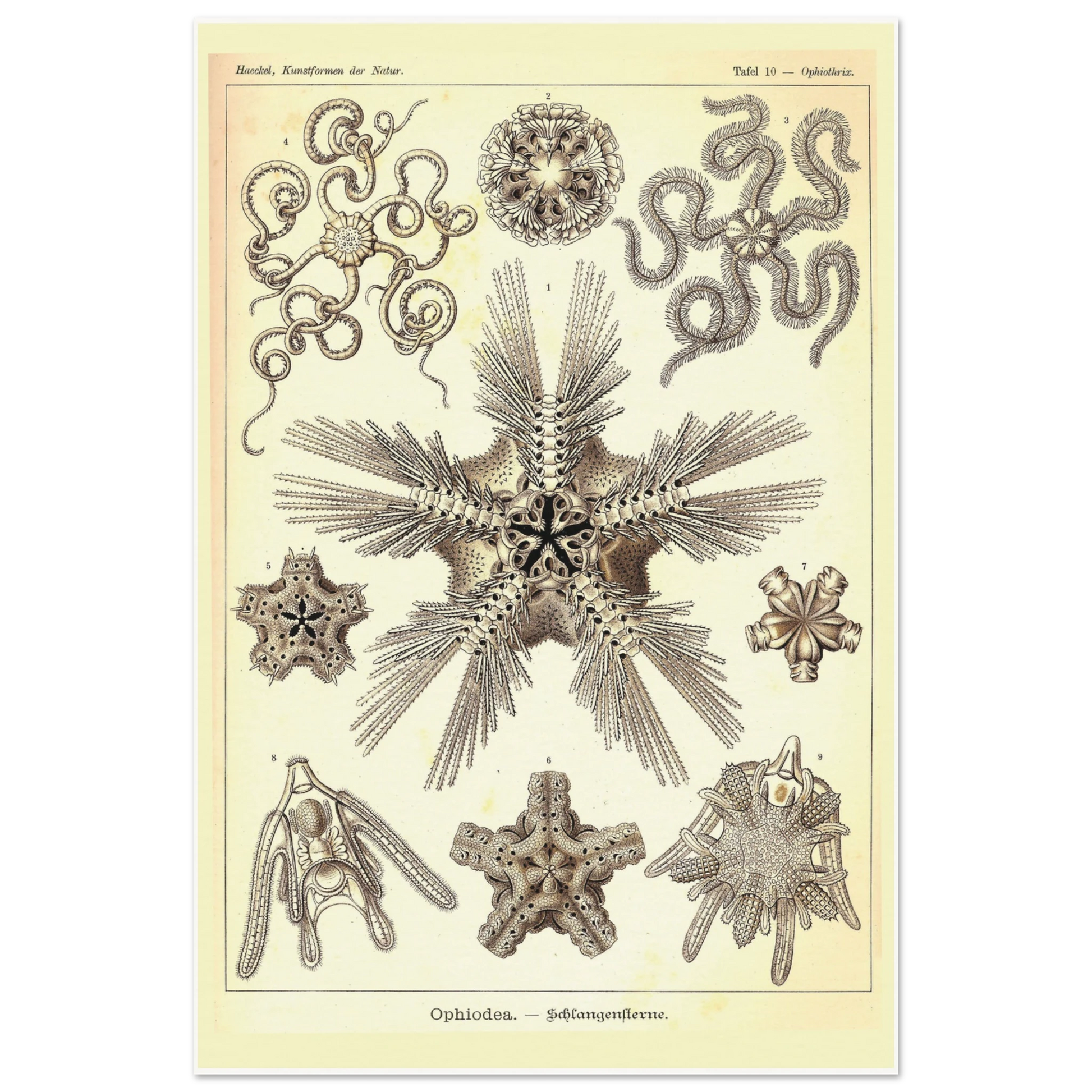 1e5017a6-4891-4624-9ab3-a388ae07d88a