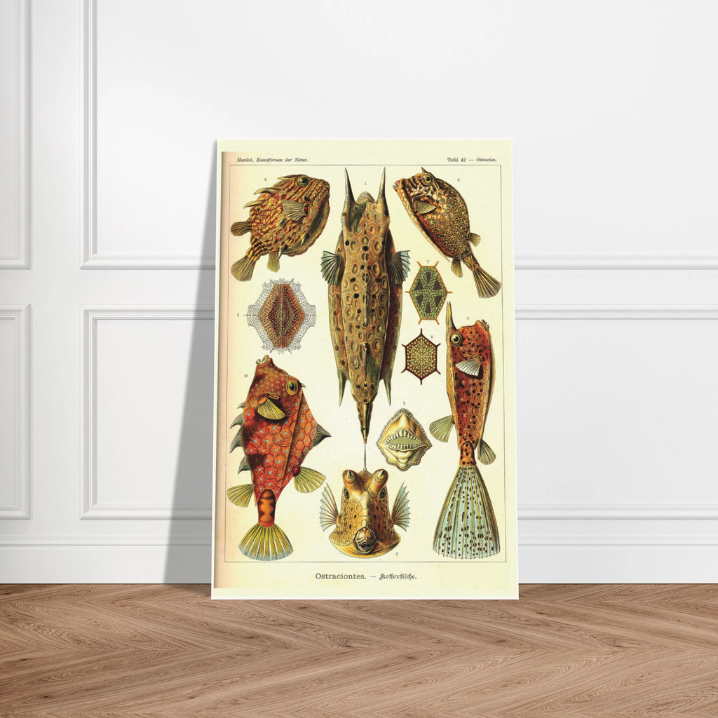 1f0f7419-2bd0-4149-9c7d-294fc48e62b7