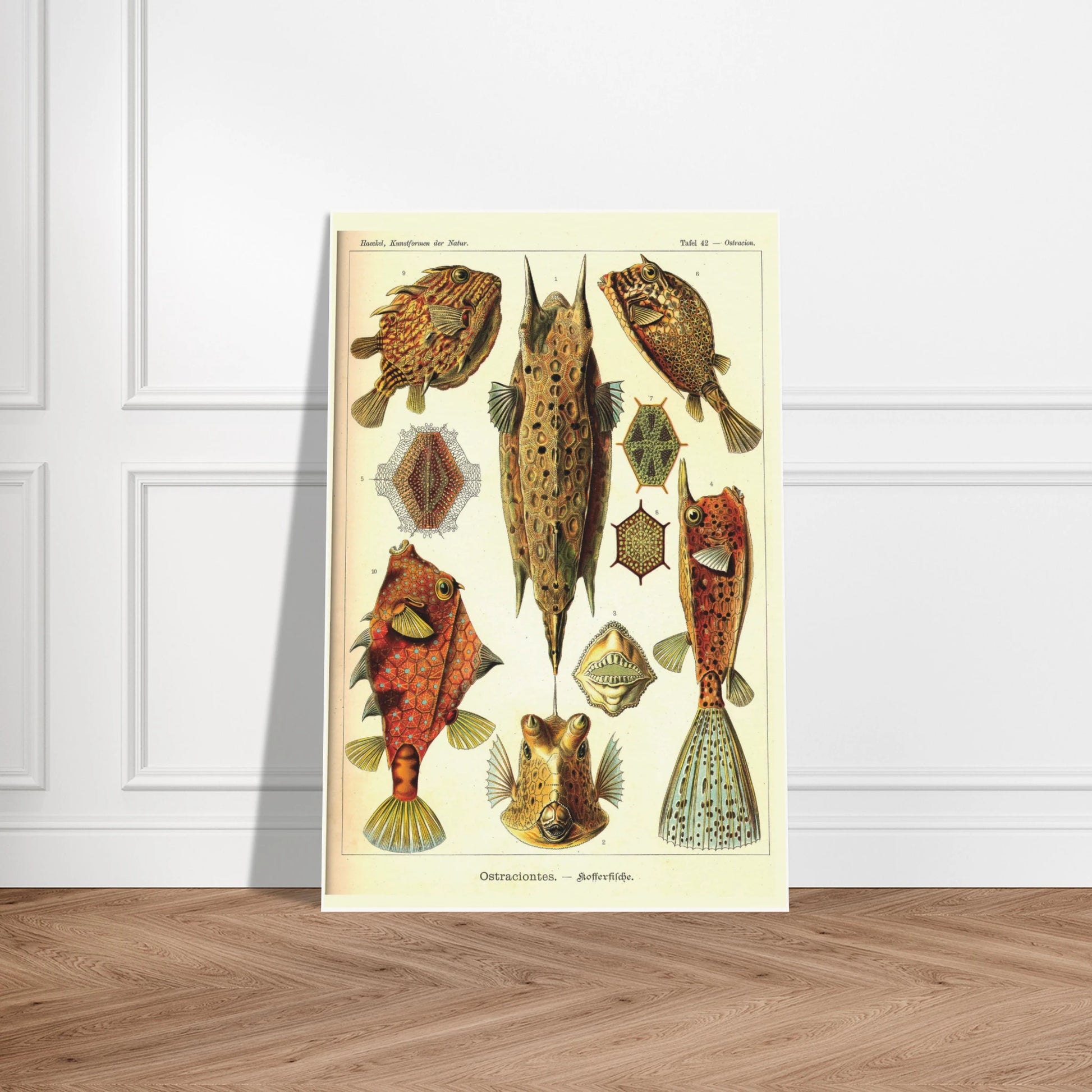 1f0f7419-2bd0-4149-9c7d-294fc48e62b7