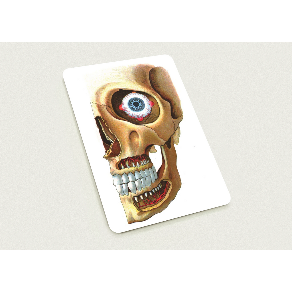 2158cff4-ccc5-4dca-84f3-97974dfd9ccc