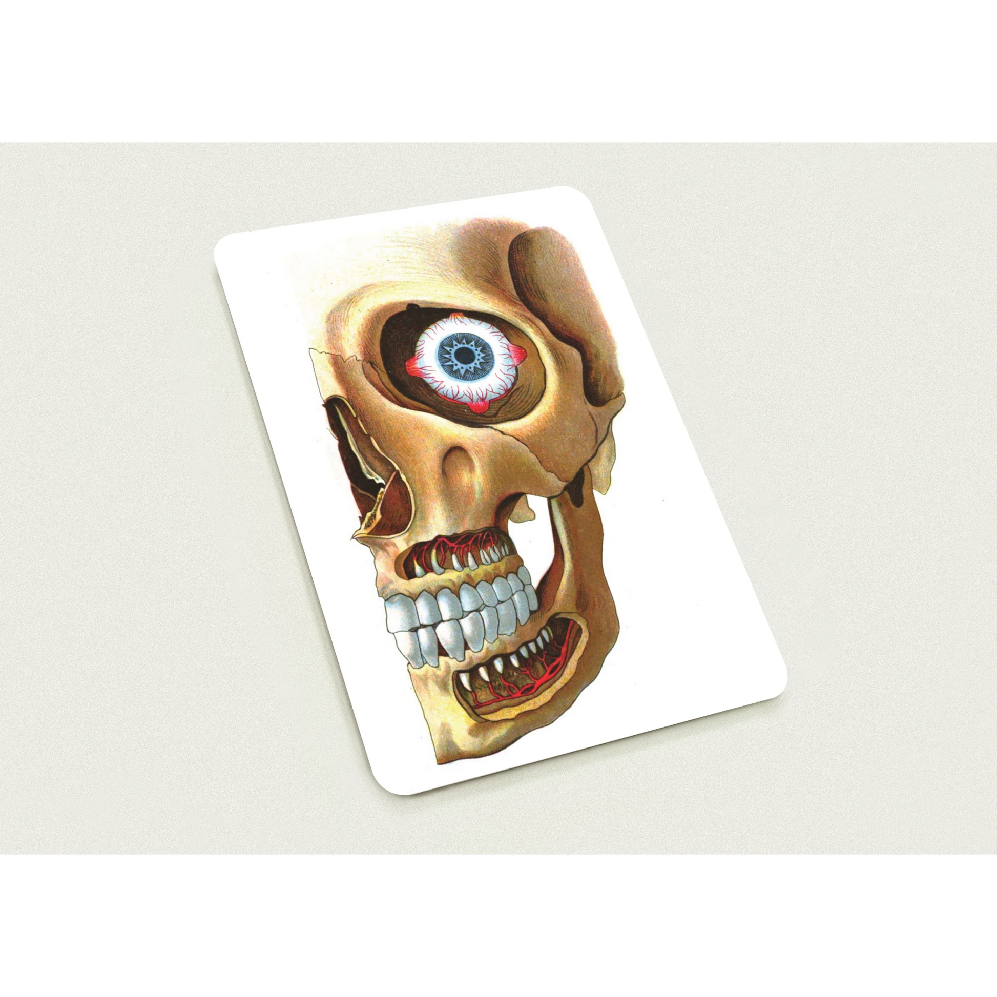 2158cff4-ccc5-4dca-84f3-97974dfd9ccc