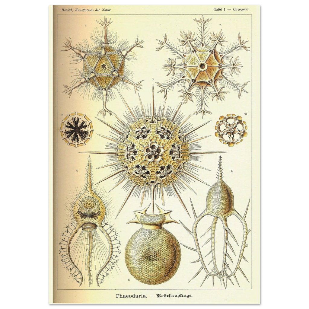 21ad8db9-0e6b-44c8-9fb2-3a276cb60fcb