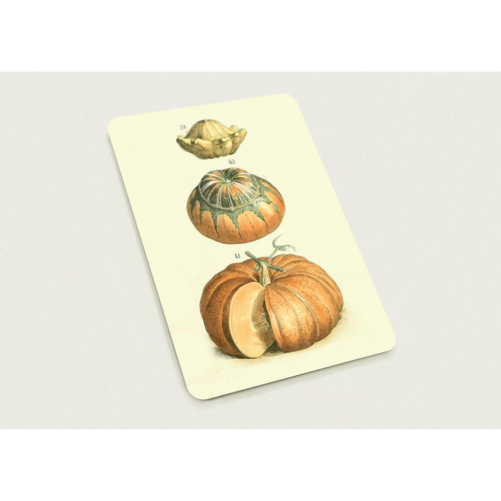 23baed99-86f3-4ae2-82f6-30f8b6624dfe