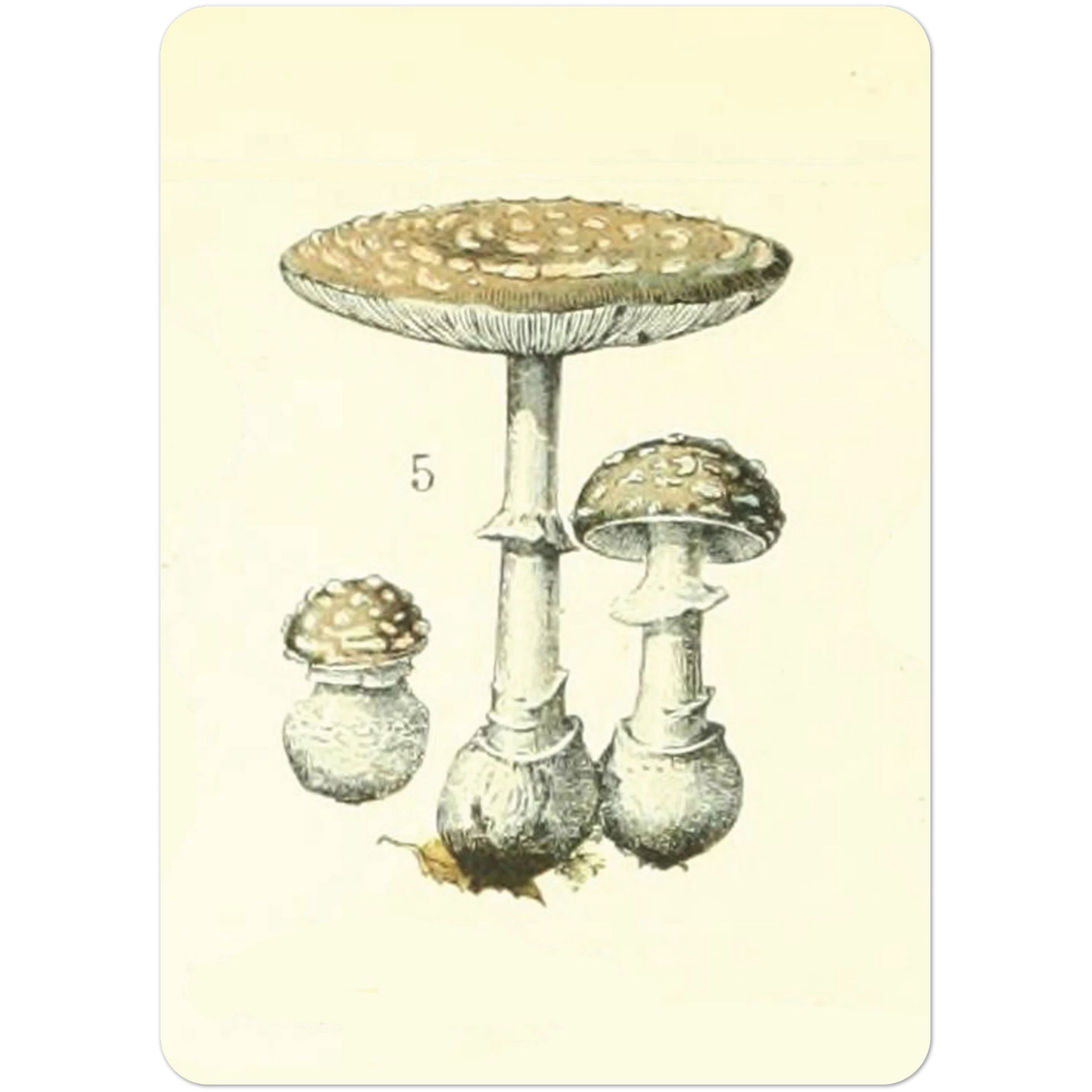 2513d25f-766f-4a33-bc62-28374c4ff247