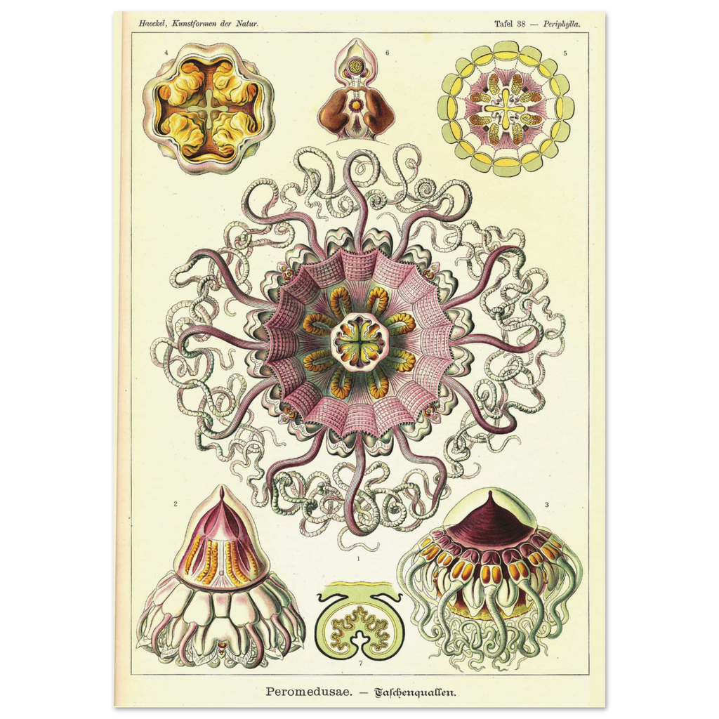 26e5ea47-fdae-444b-bdb0-4d06dbee8162