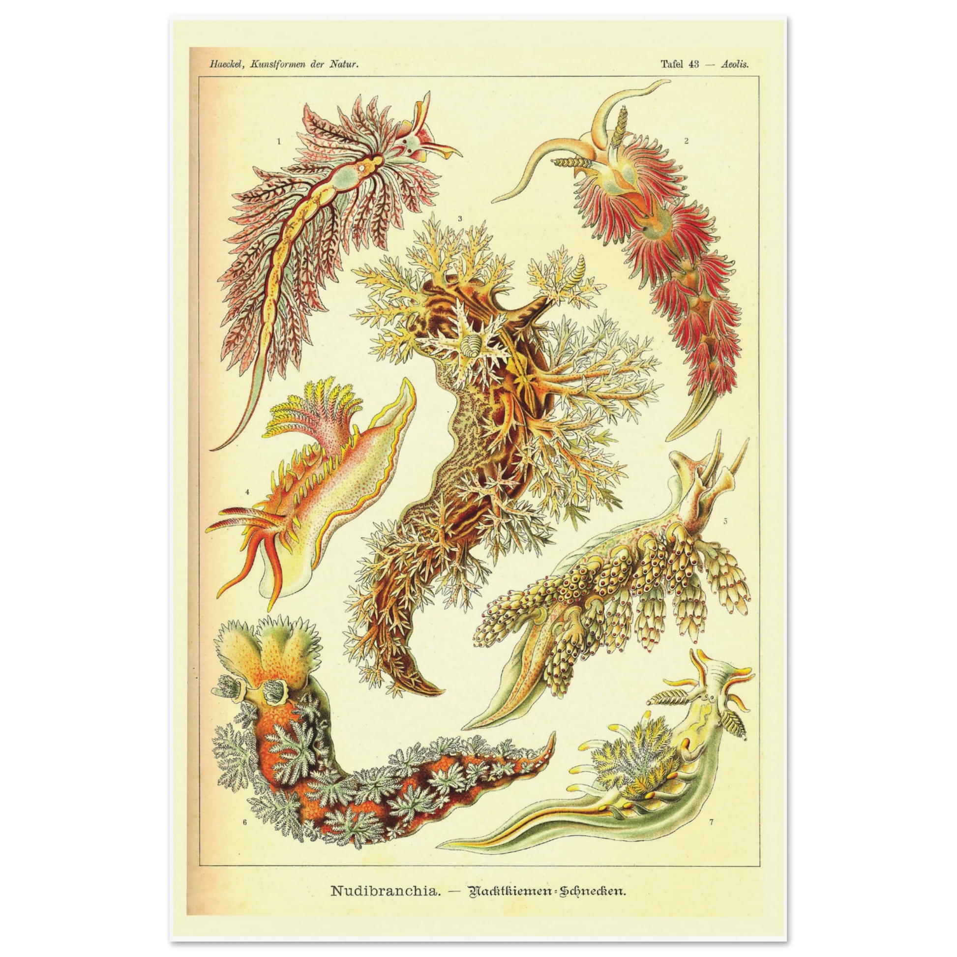 2f5967ba-0471-427e-b233-fd5963a70848