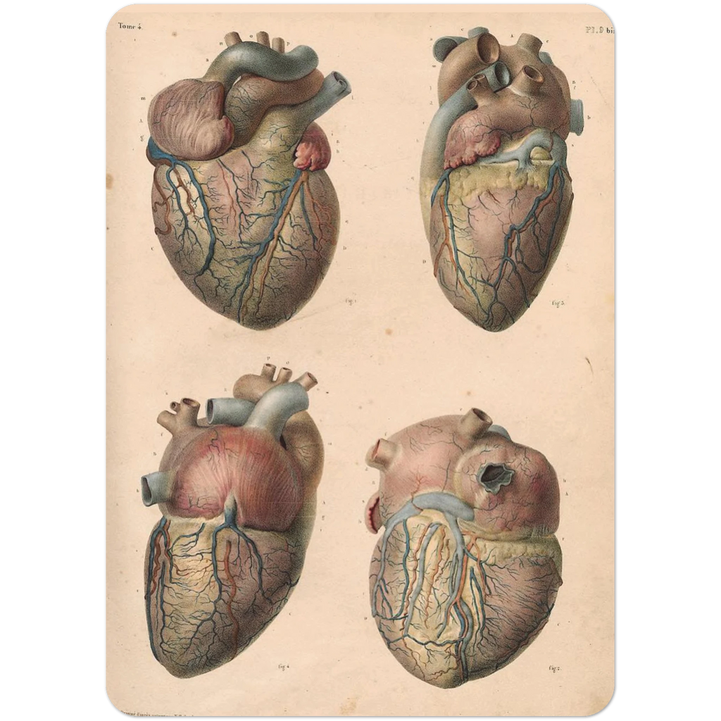 2f8f141e-f7c5-4c5b-a426-3cf4b5a9ba92