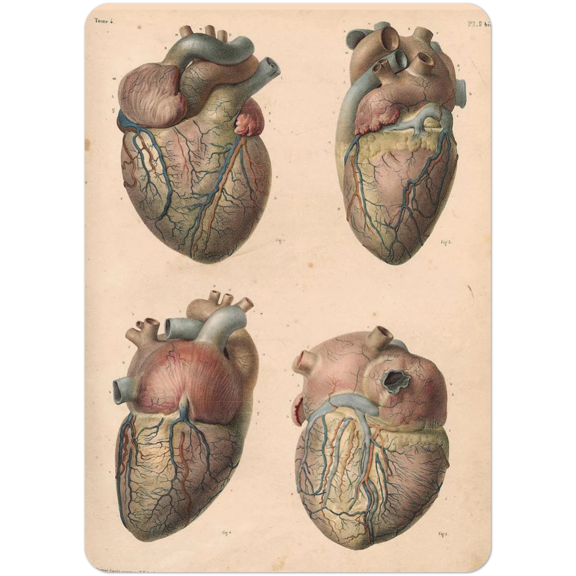 2f8f141e-f7c5-4c5b-a426-3cf4b5a9ba92