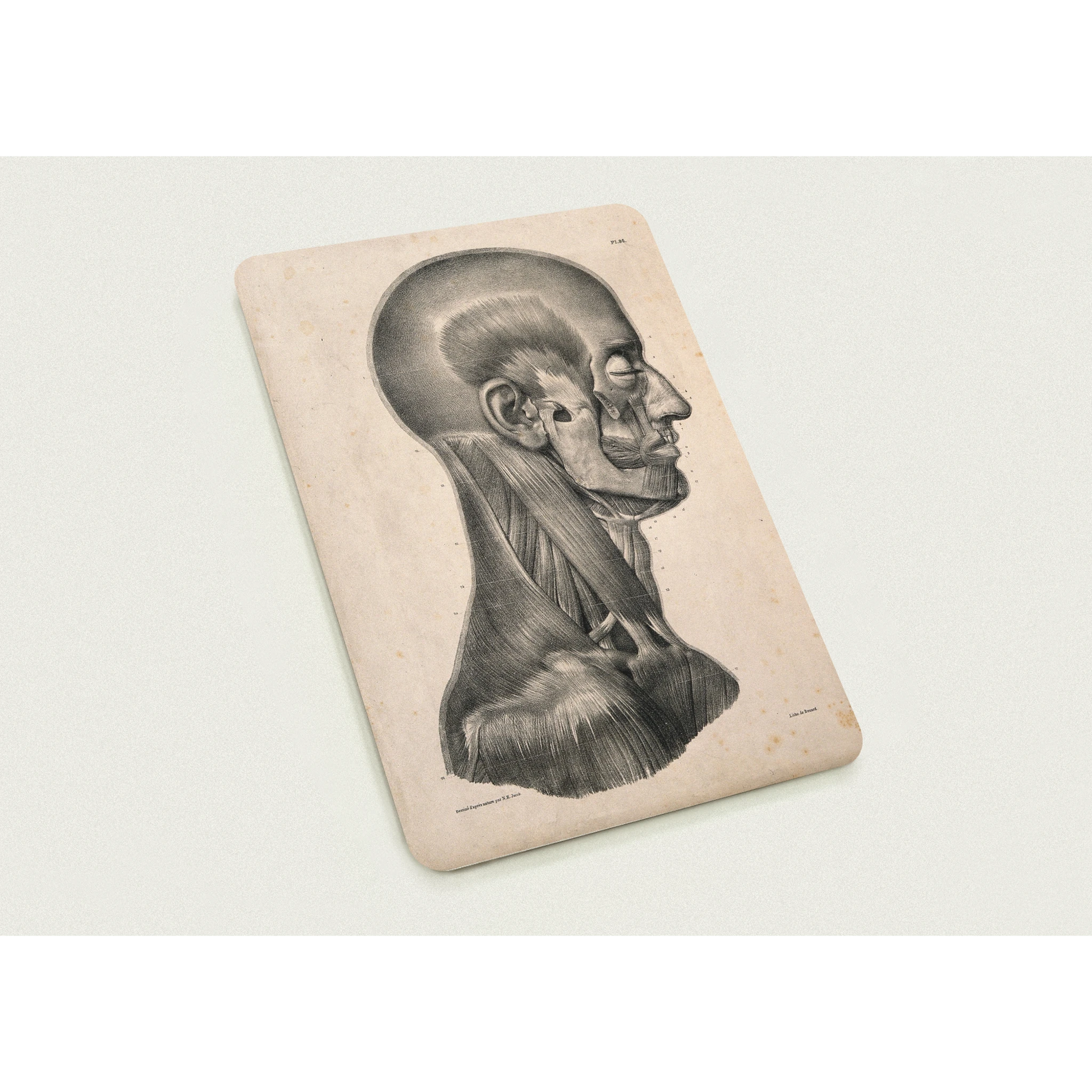 2ff6a25a-03d3-46e3-944b-df92572d2c3e