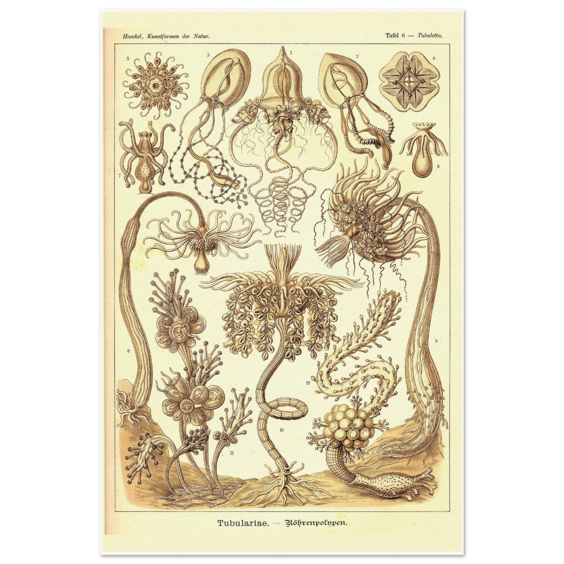 305ad9a0-7cb0-4074-862e-7627e631a121