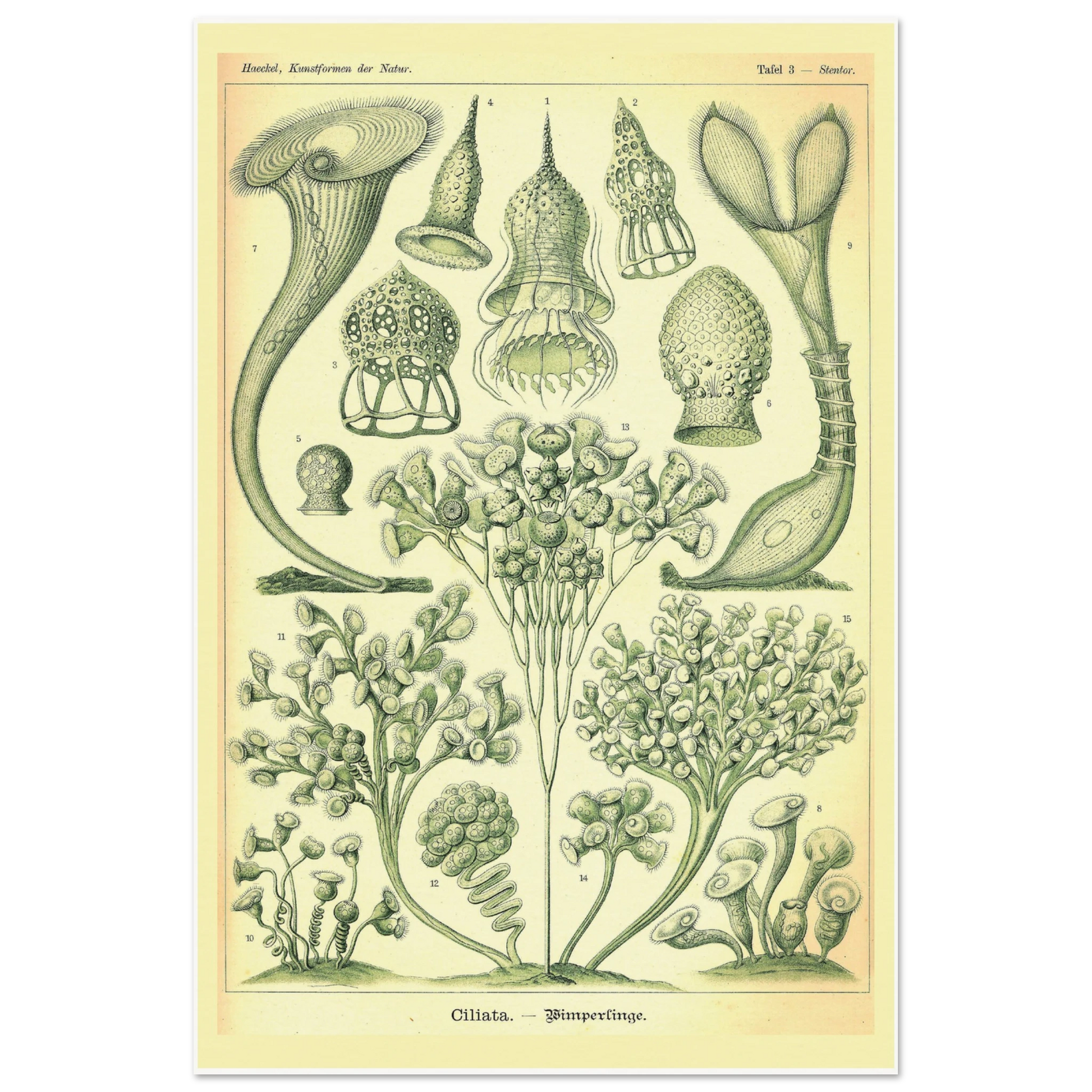 30bb6d0d-d8a8-4ee0-8bfc-bde6e979ba8d